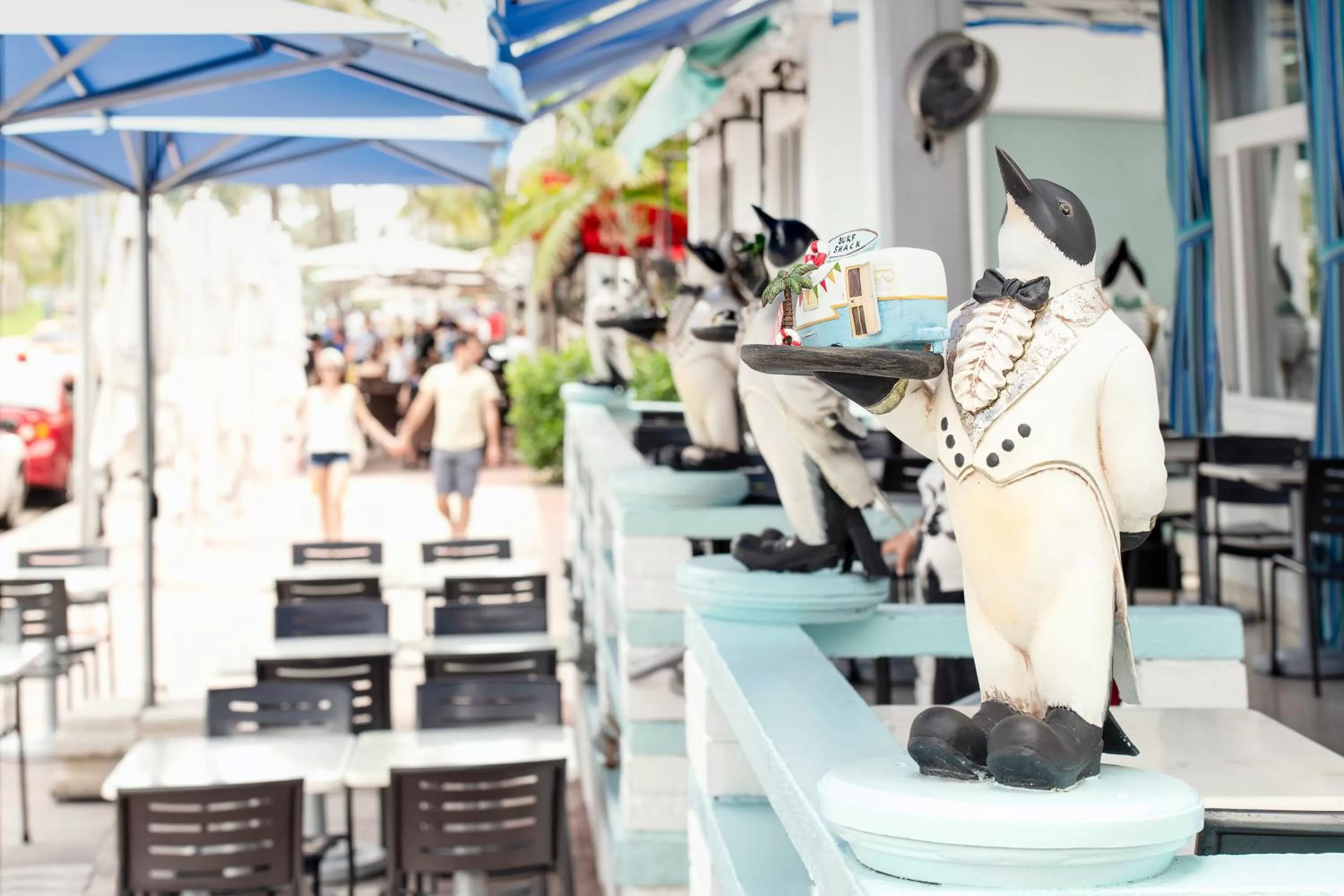 Patio in Penguin Hotel