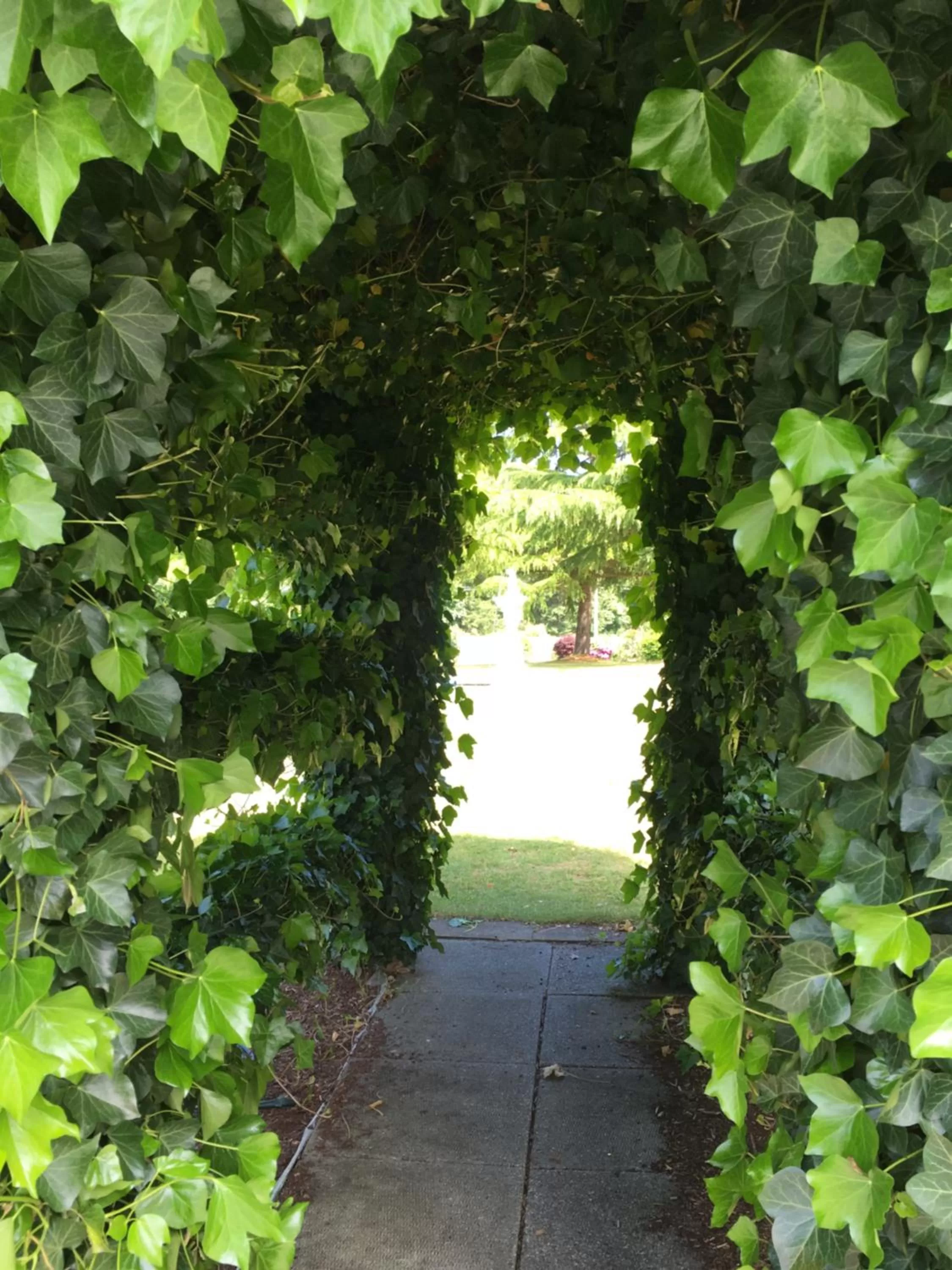 Garden in Fuller Lake Chemainus Motel