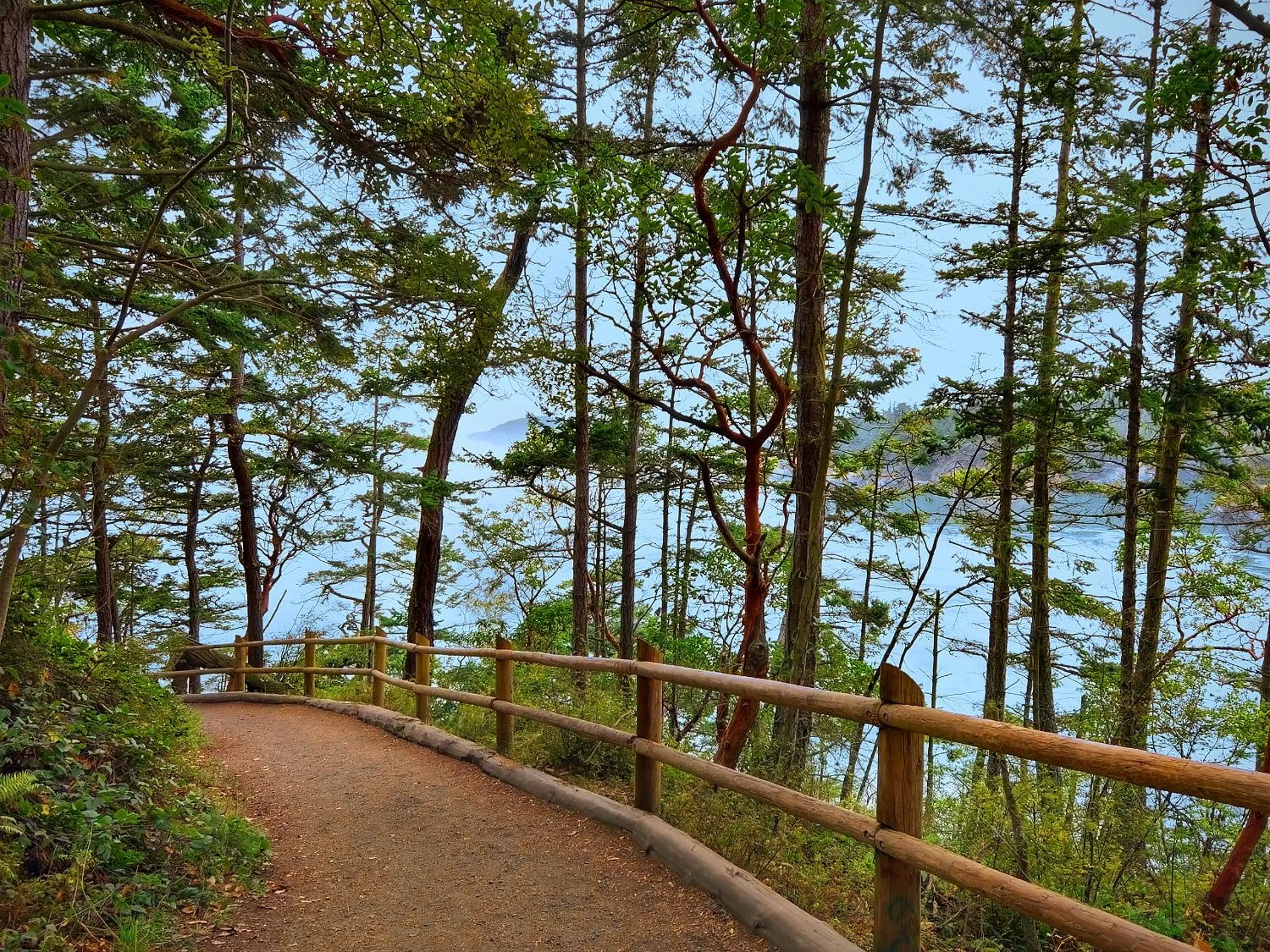 Natural landscape in Coachman Inn Oak Harbor