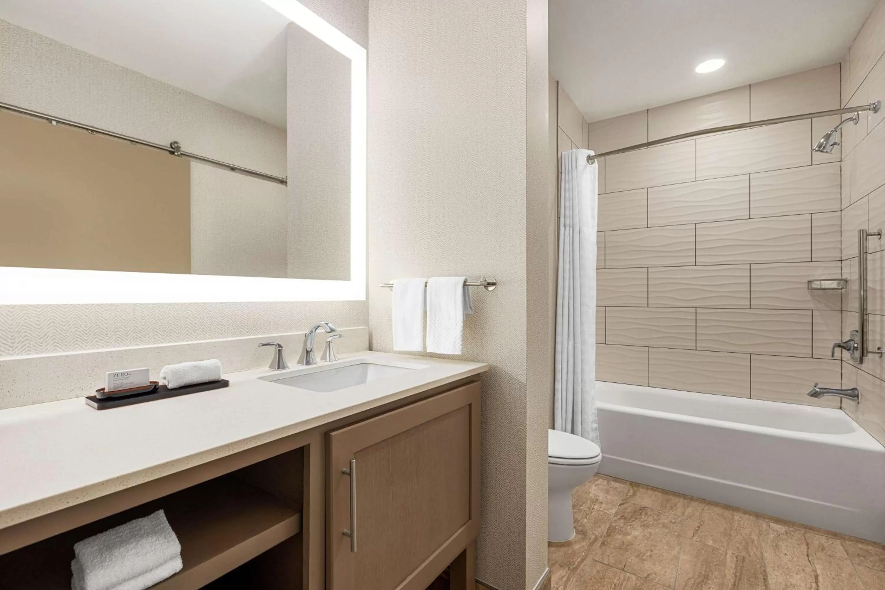 Bathroom in Embassy Suites by Hilton Round Rock