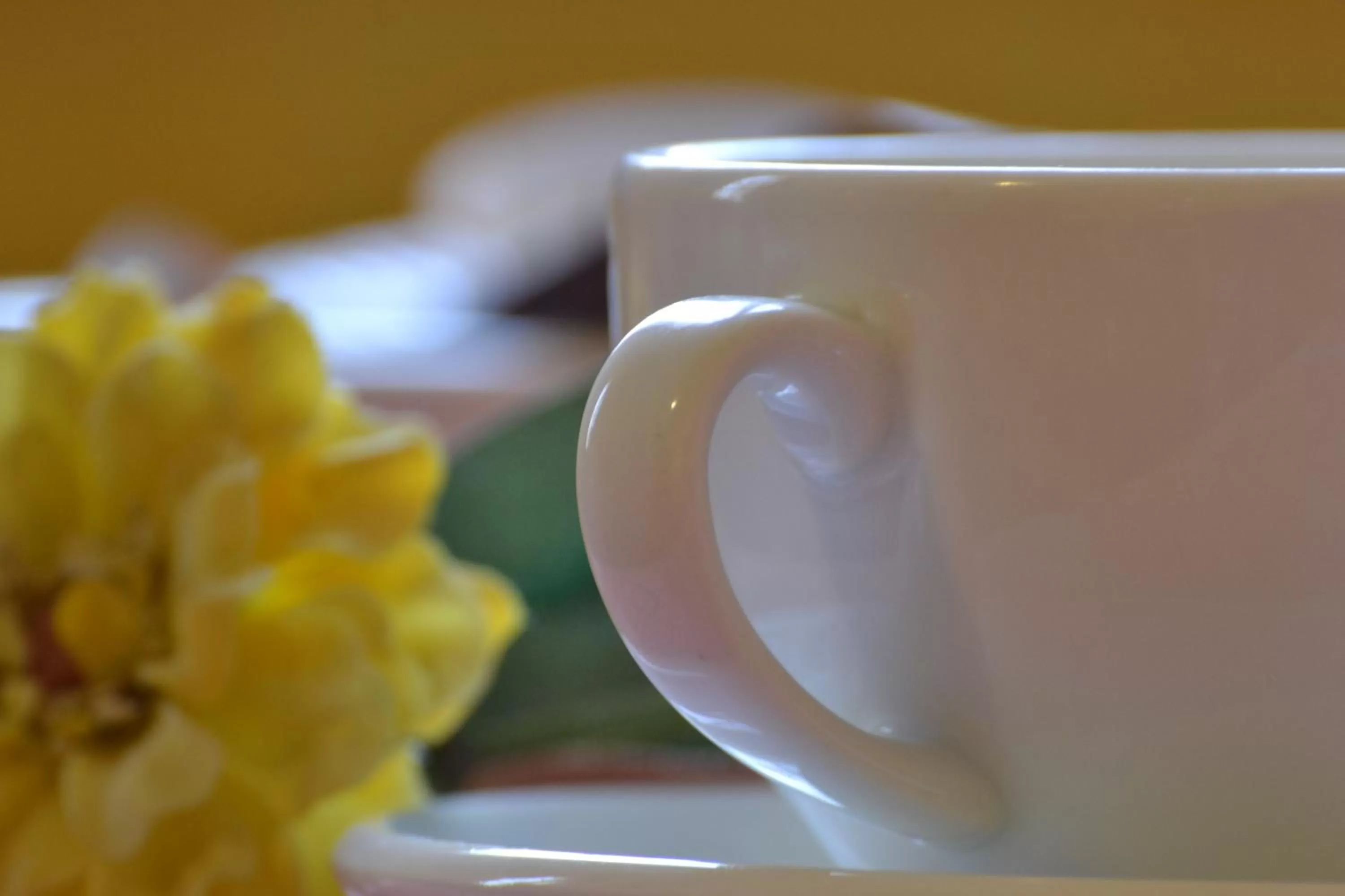 Breakfast in Ai Giardini del Te