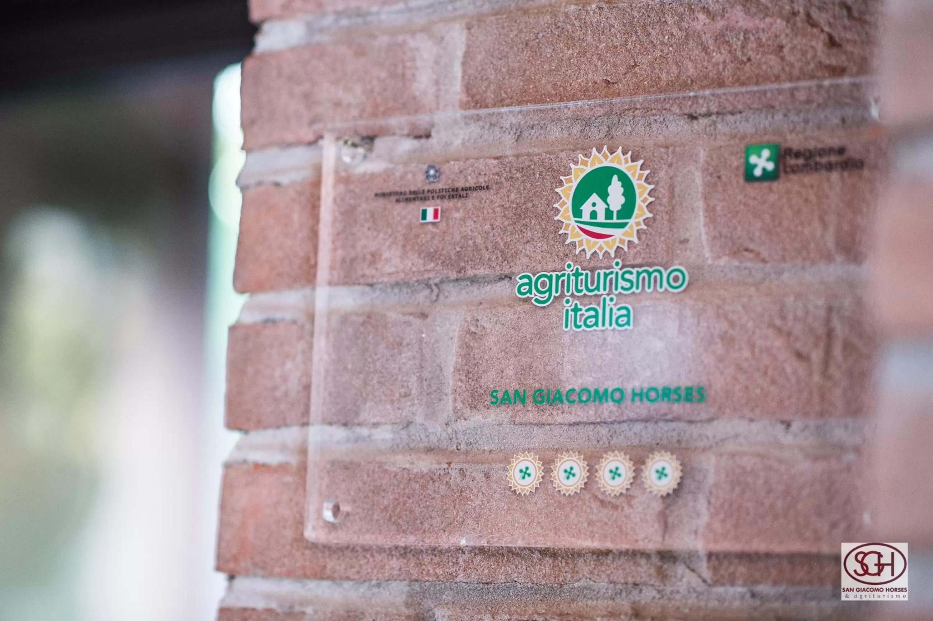 Certificate/Award in San Giacomo Horses & Agriturismo