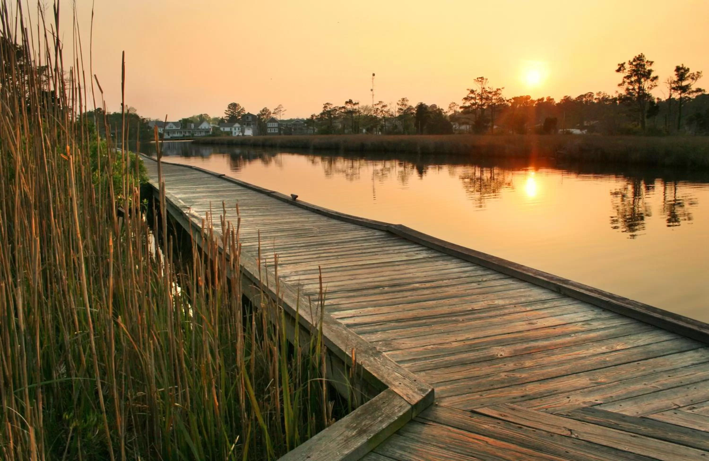 Night in White Doe Inn Bed & Breakfast