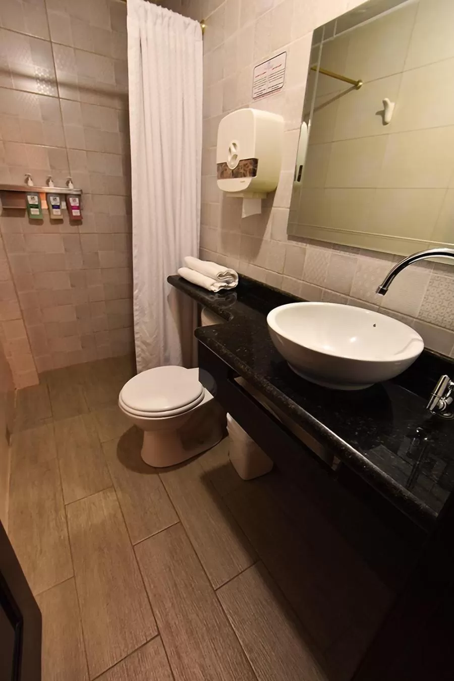 Bathroom in Hotel Plaza Victoria