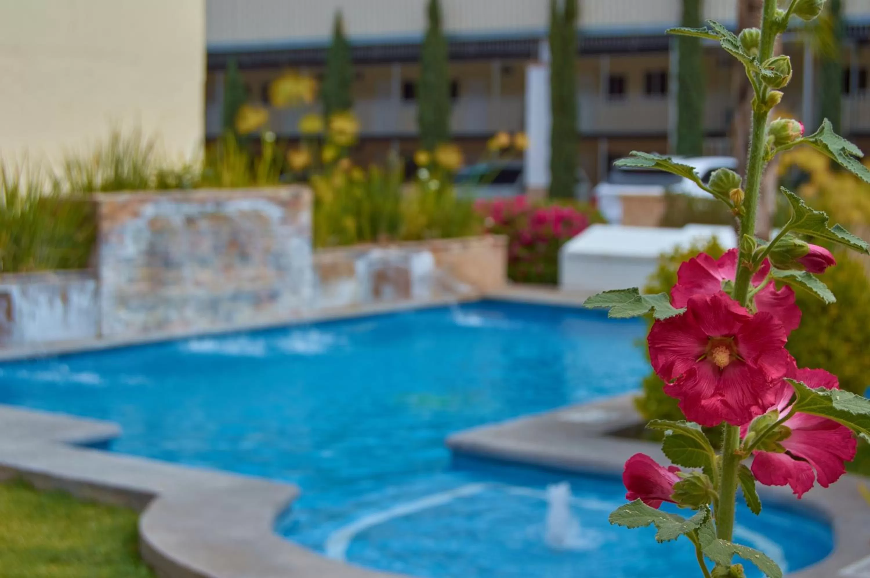 Swimming pool in Hotel del Alba Inn & Suites