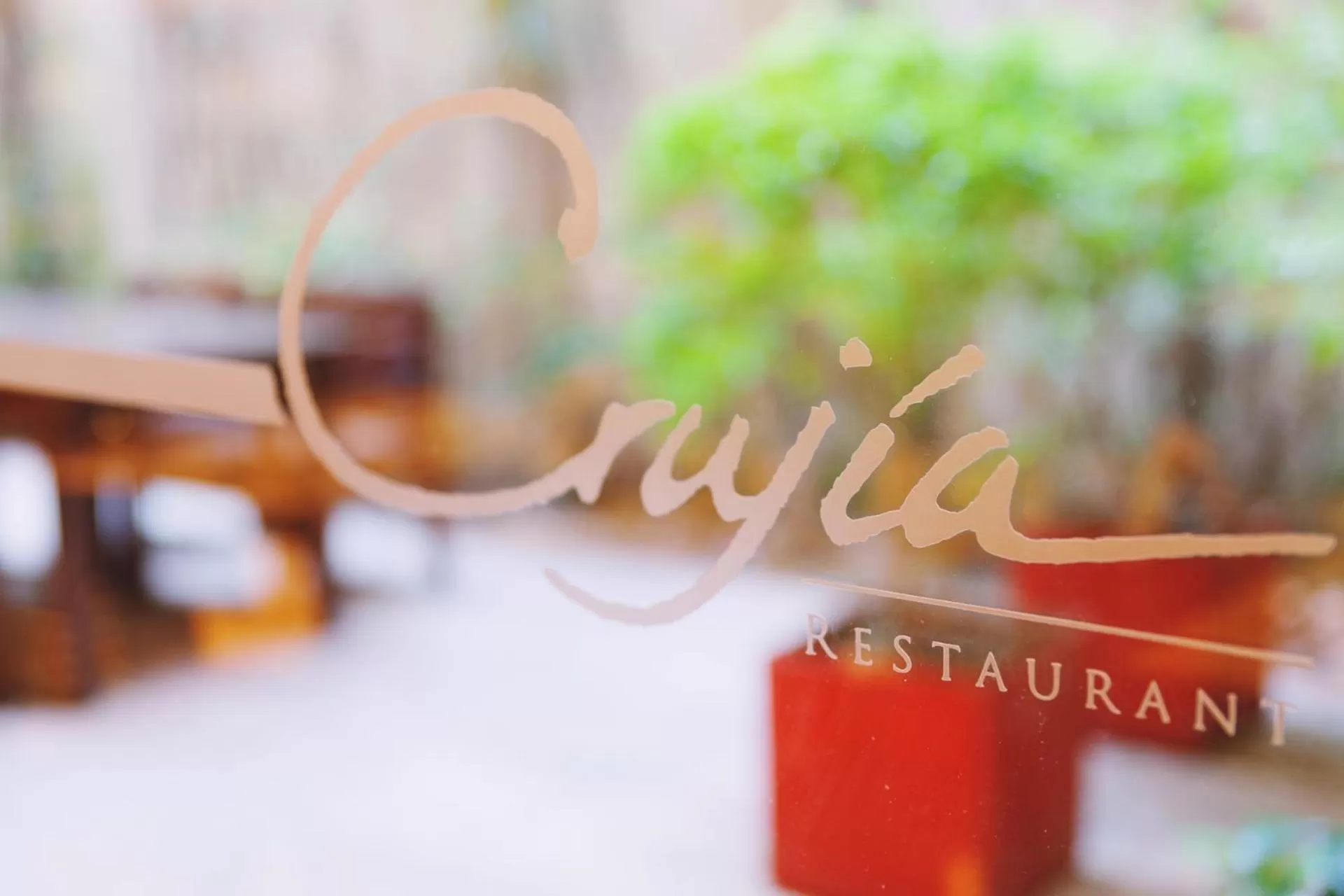 Restaurant/places to eat in Ribera Sur Hotel