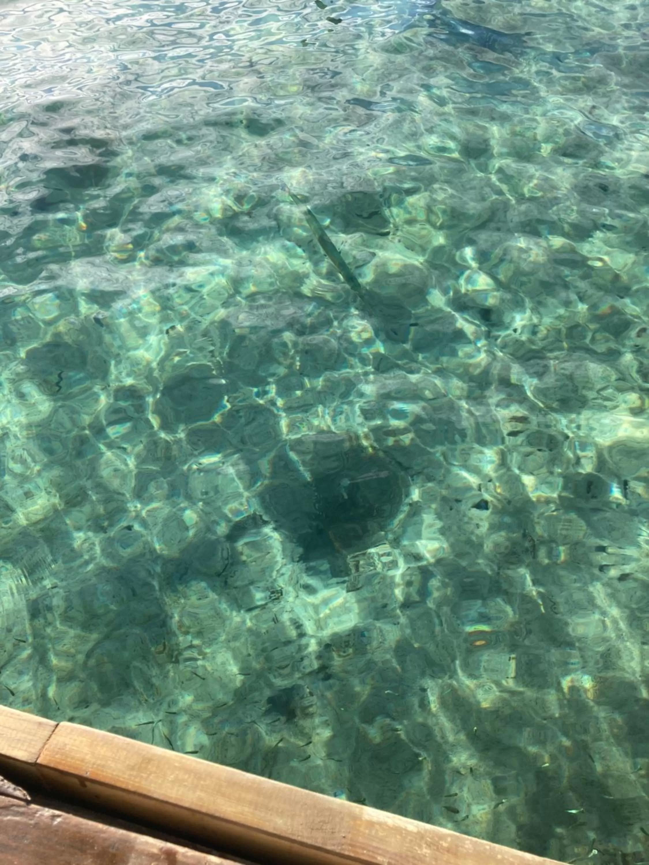 Casa Acuario Boutique Hotel