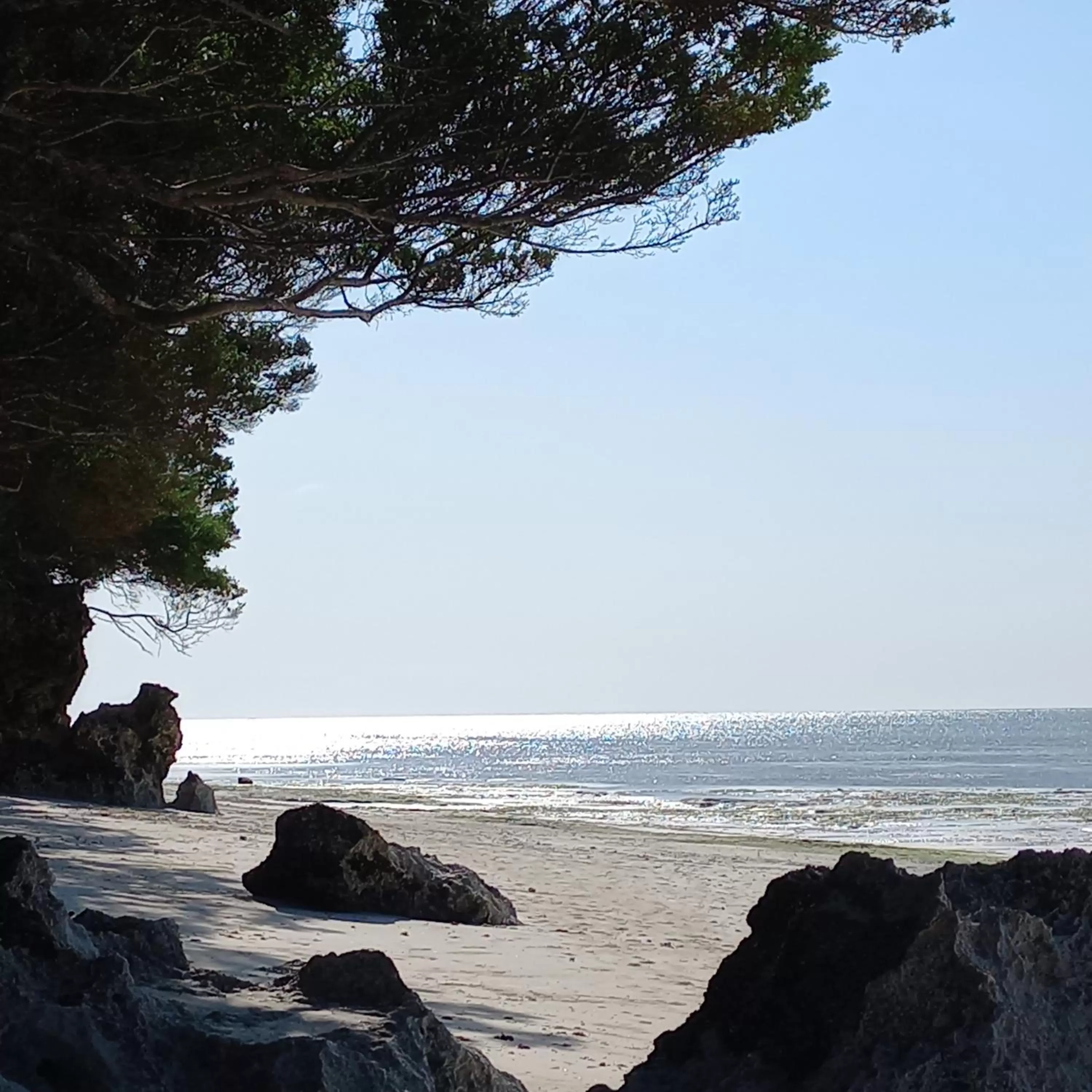 Beach in MaNa Nungwi