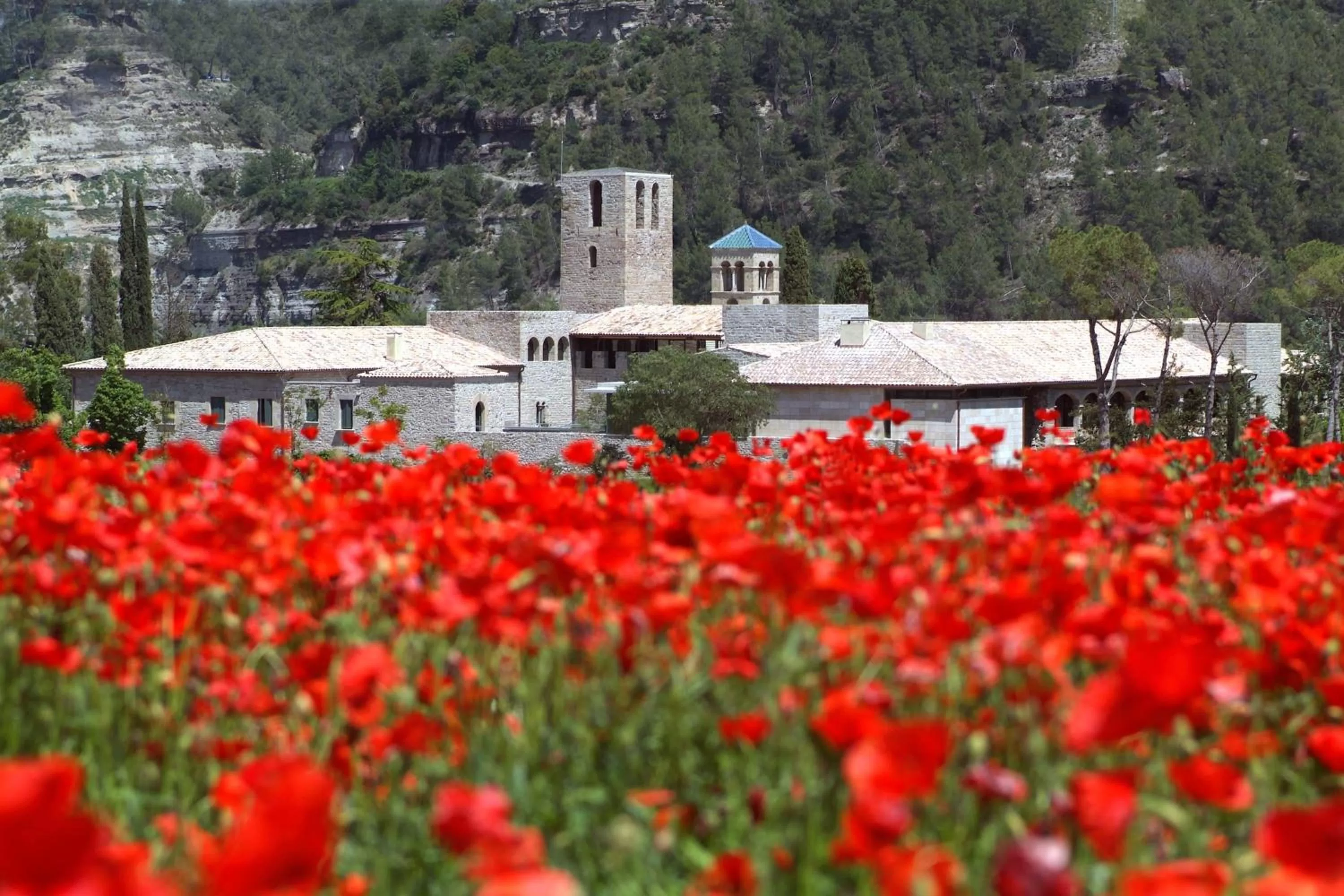 Garden in Hotel Món Sant Benet
