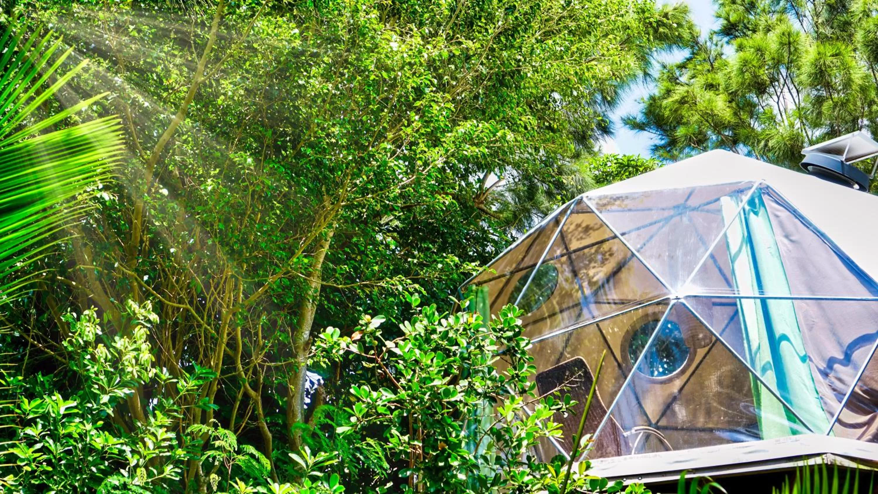 Day in Bubble Dome Village