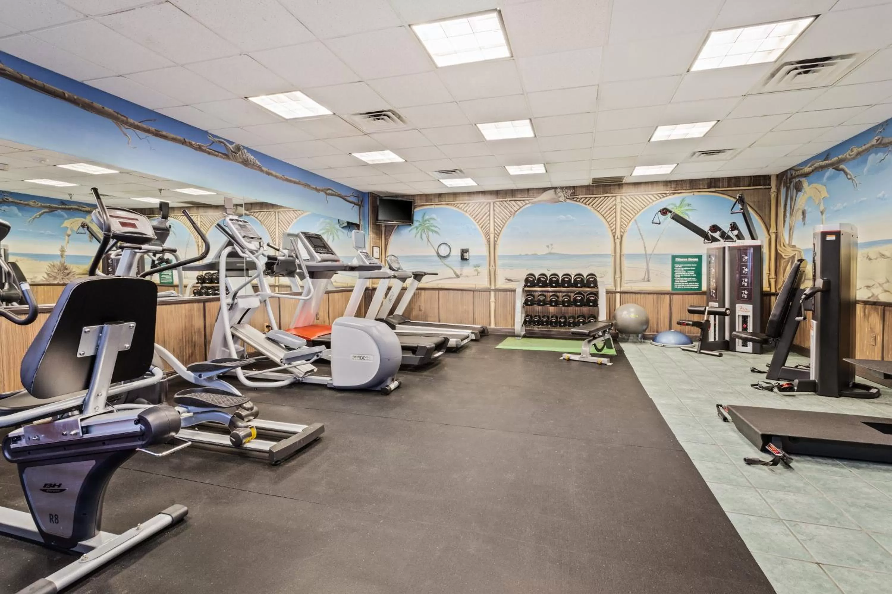 Fitness centre/facilities in Holiday Inn & Suites Clearwater Beach S-Harbourside