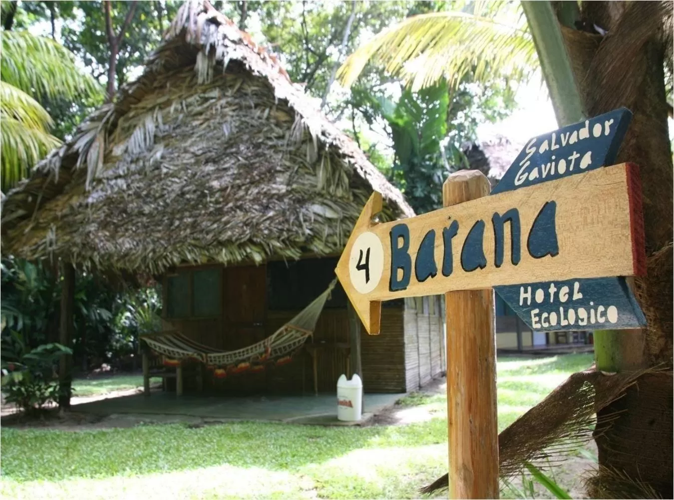 Property Building in Hotel Salvador Gaviota