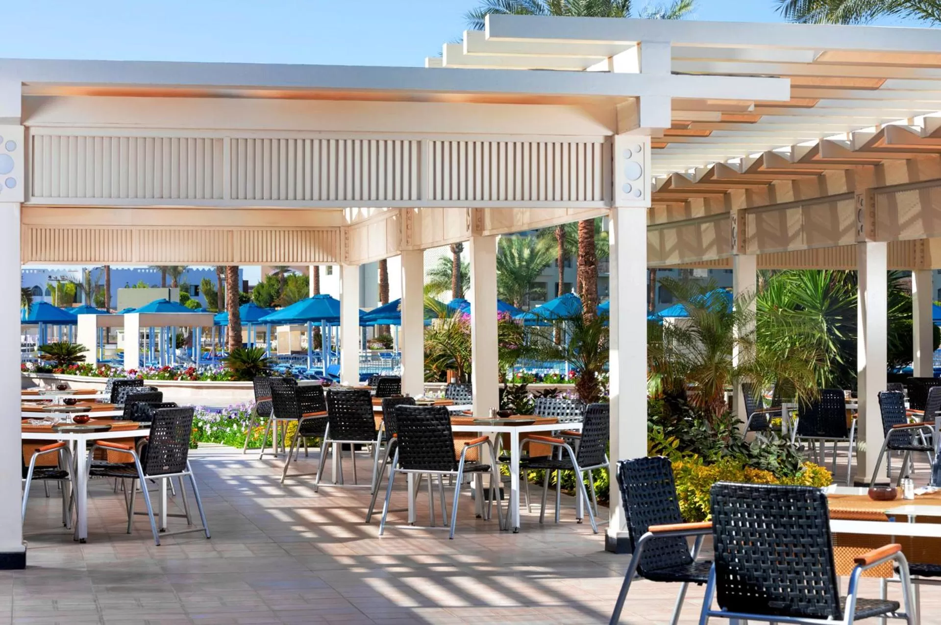 Restaurant/places to eat in Pickalbatros Dana Beach Resort - Aqua Park