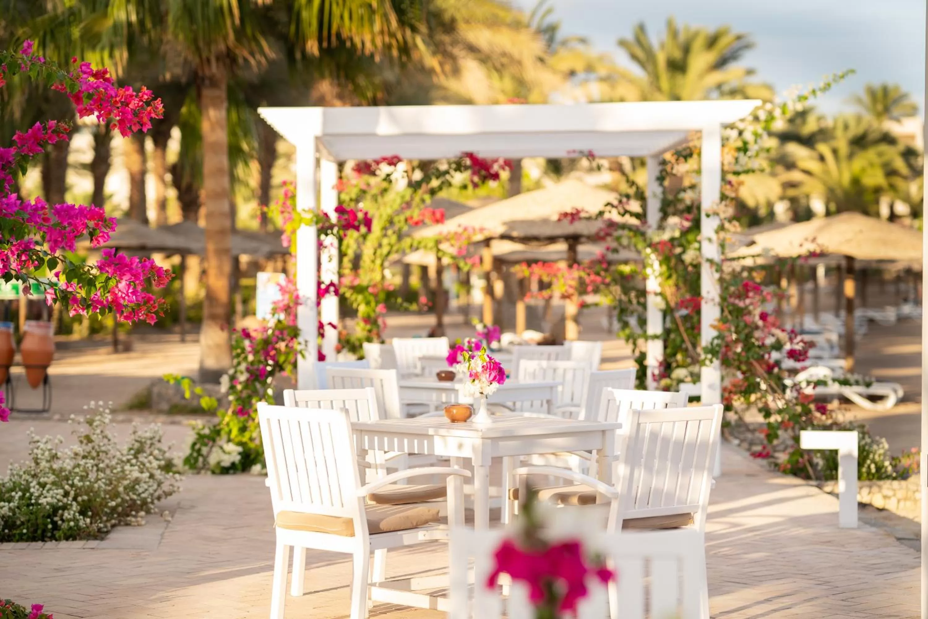 Lounge or bar in Fort Arabesque Resort, Spa & Villas