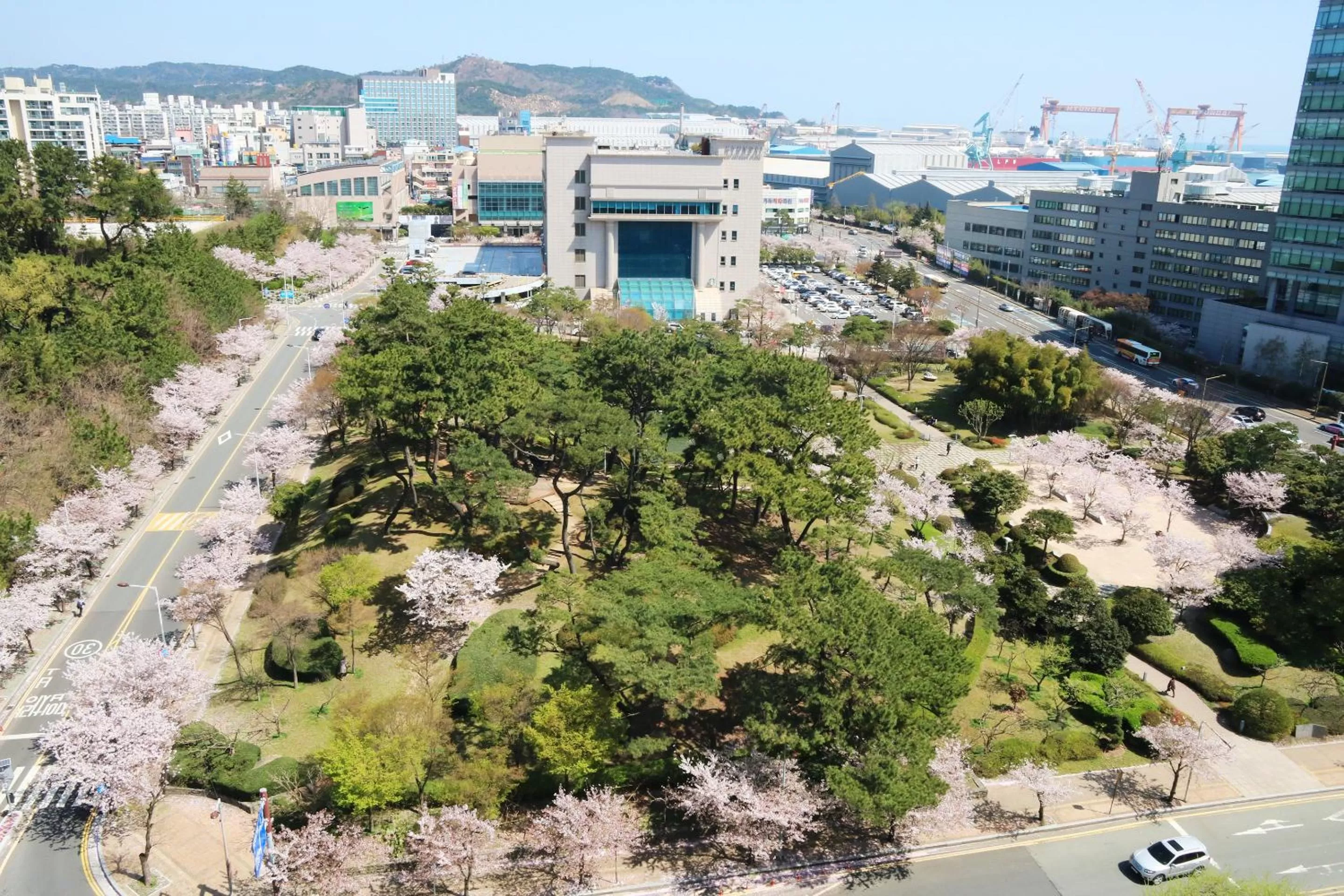 Spring in Hotel Hyundai by Lahan Ulsan