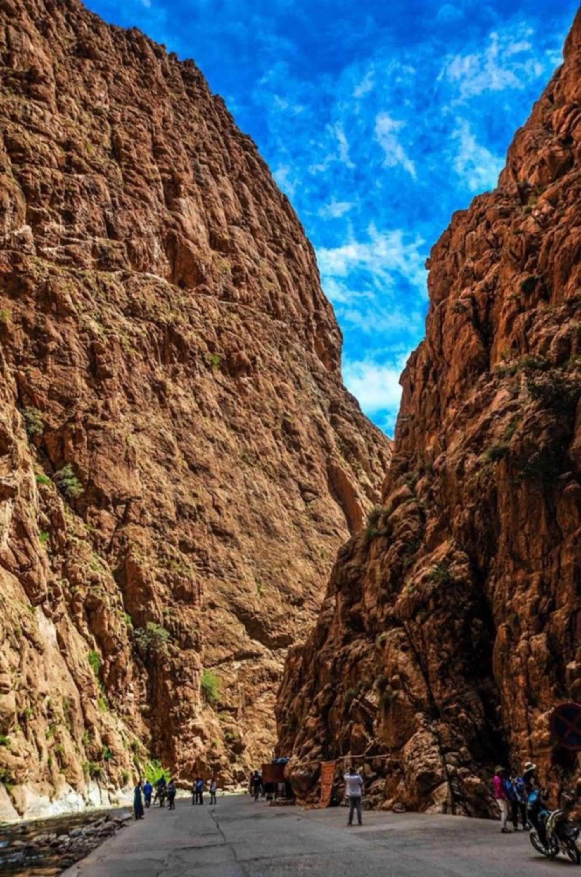 Animals in Hotel Restaurant La Kasbah