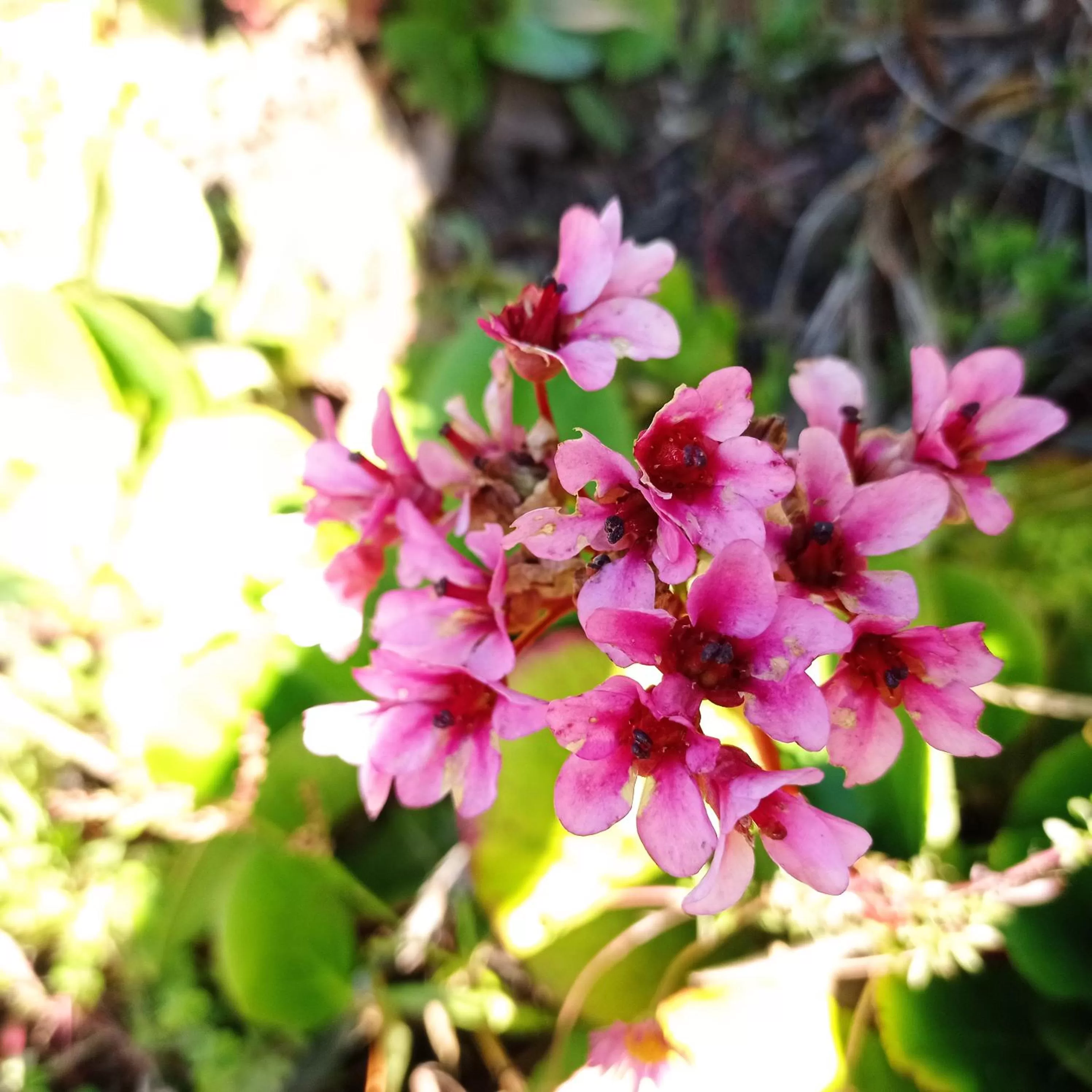 Hotel Refugio Pozo Azul