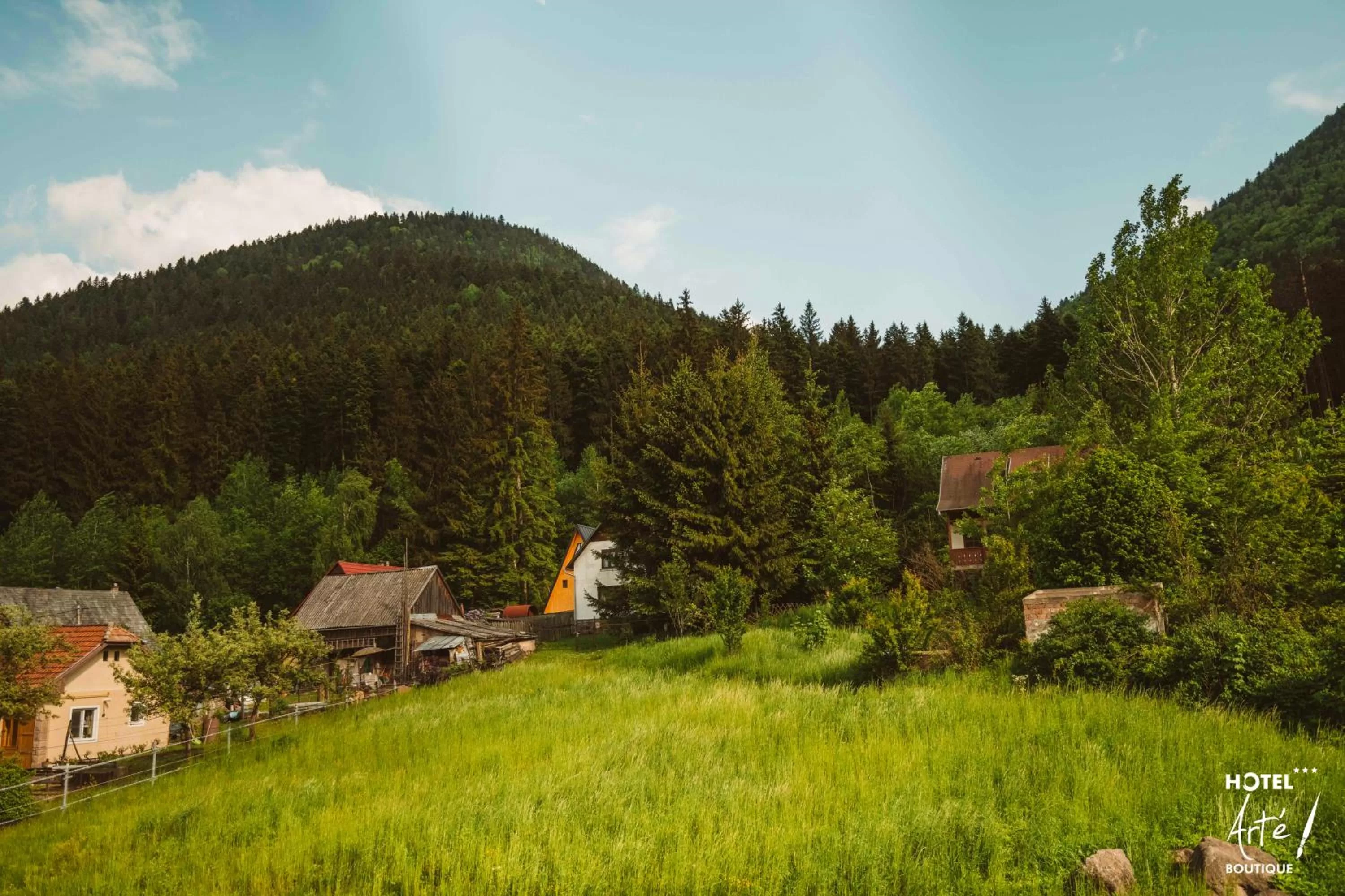 Mountain view in Art'e Boutique Hotel