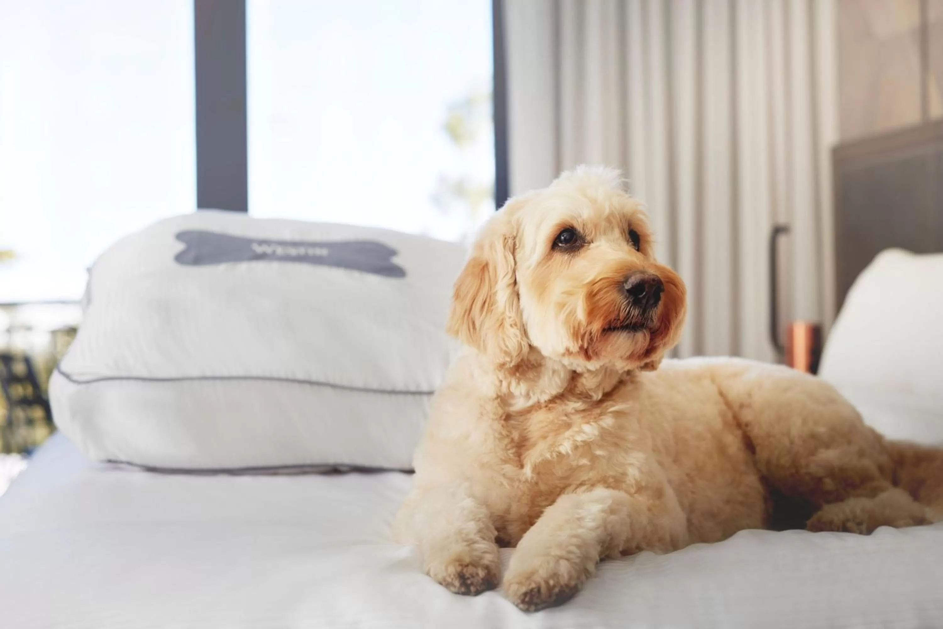 Other, Bed in The Westin Monache Resort, Mammoth