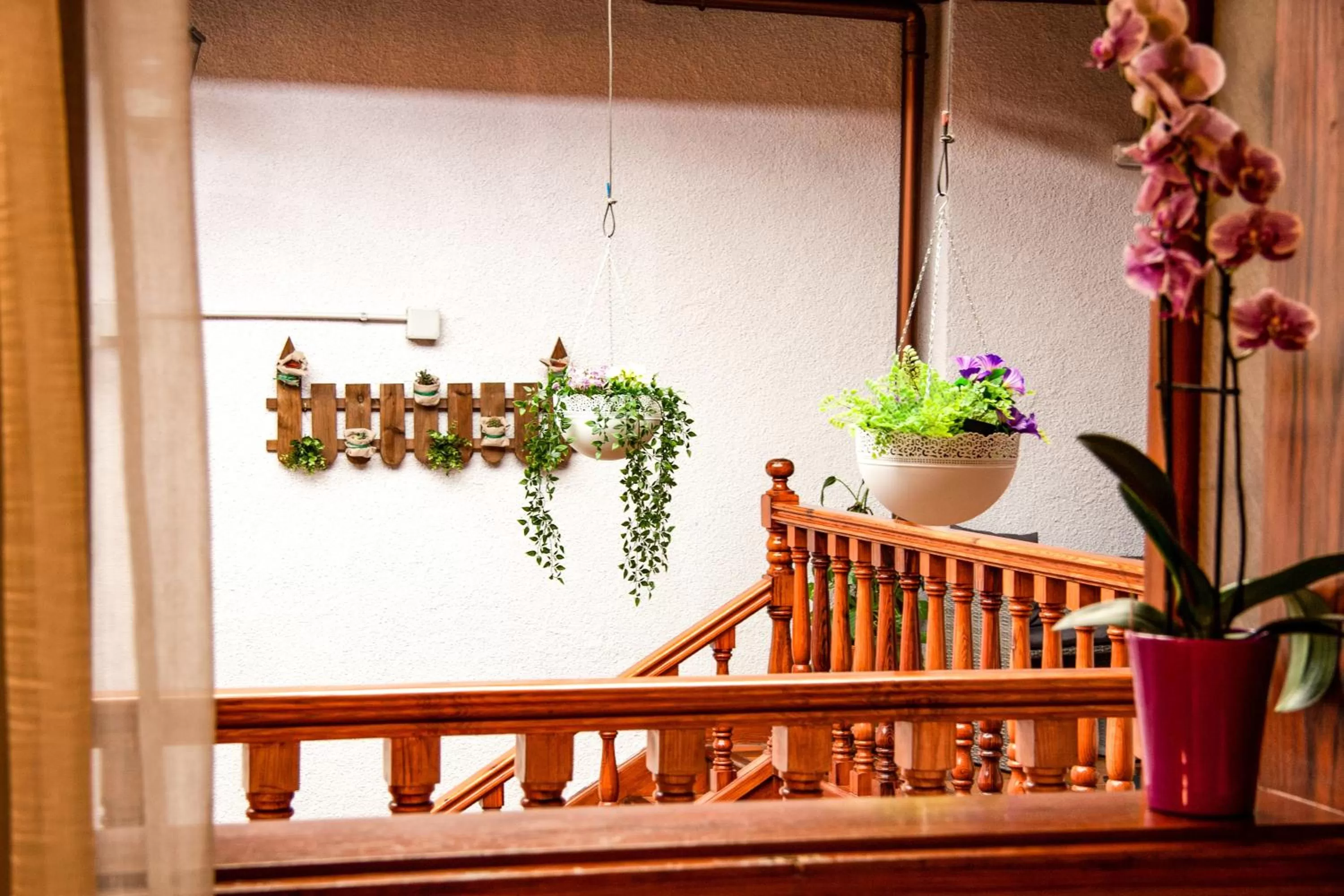 Inner courtyard view in Il Sogno di Gio della Laguna