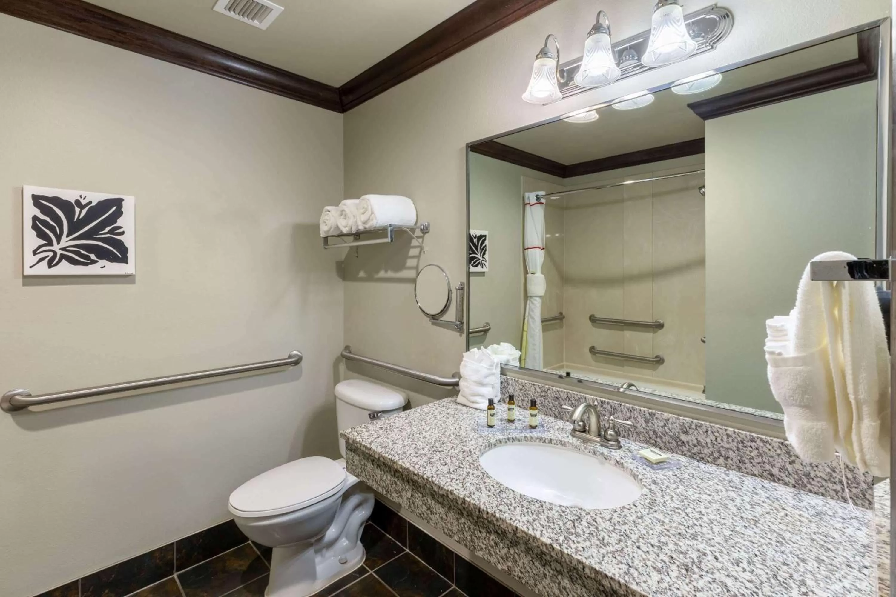 Bathroom in Hawthorn Suites by Wyndham Lubbock