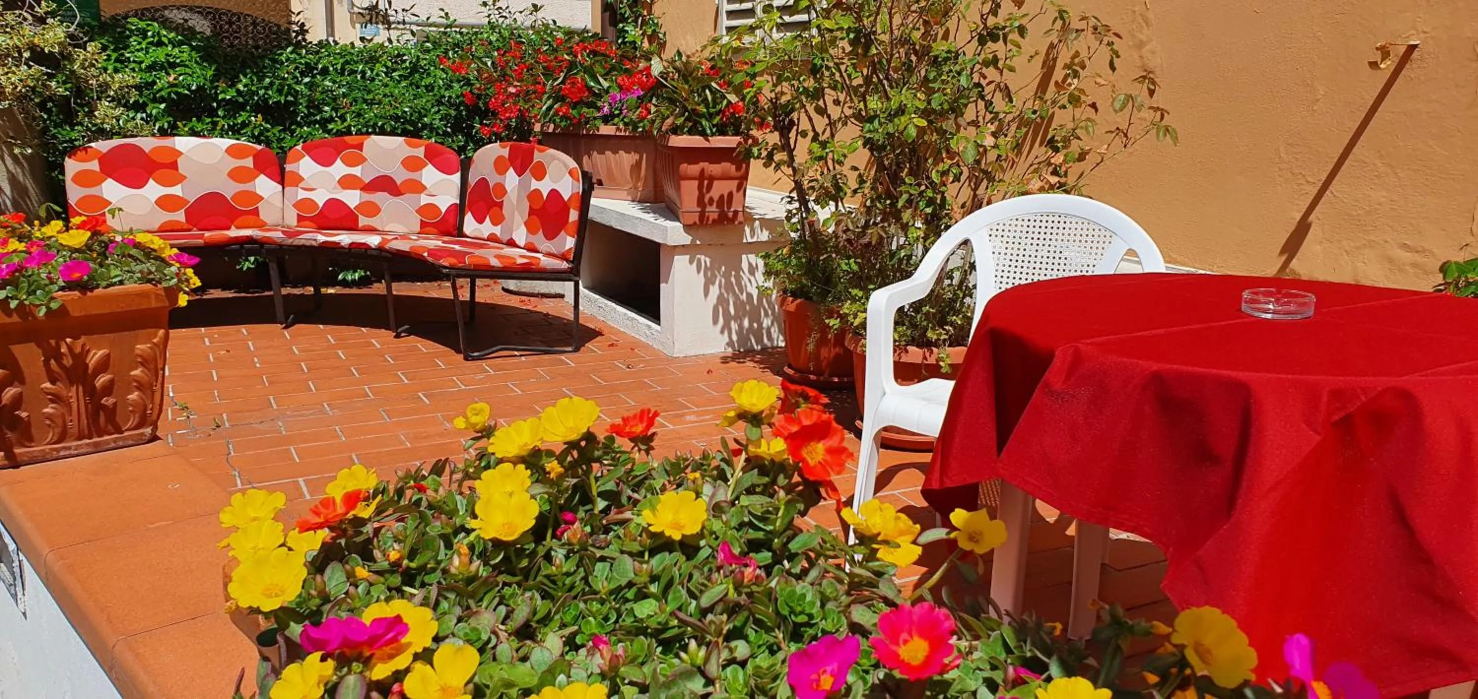 Garden in Hotel Giovanna