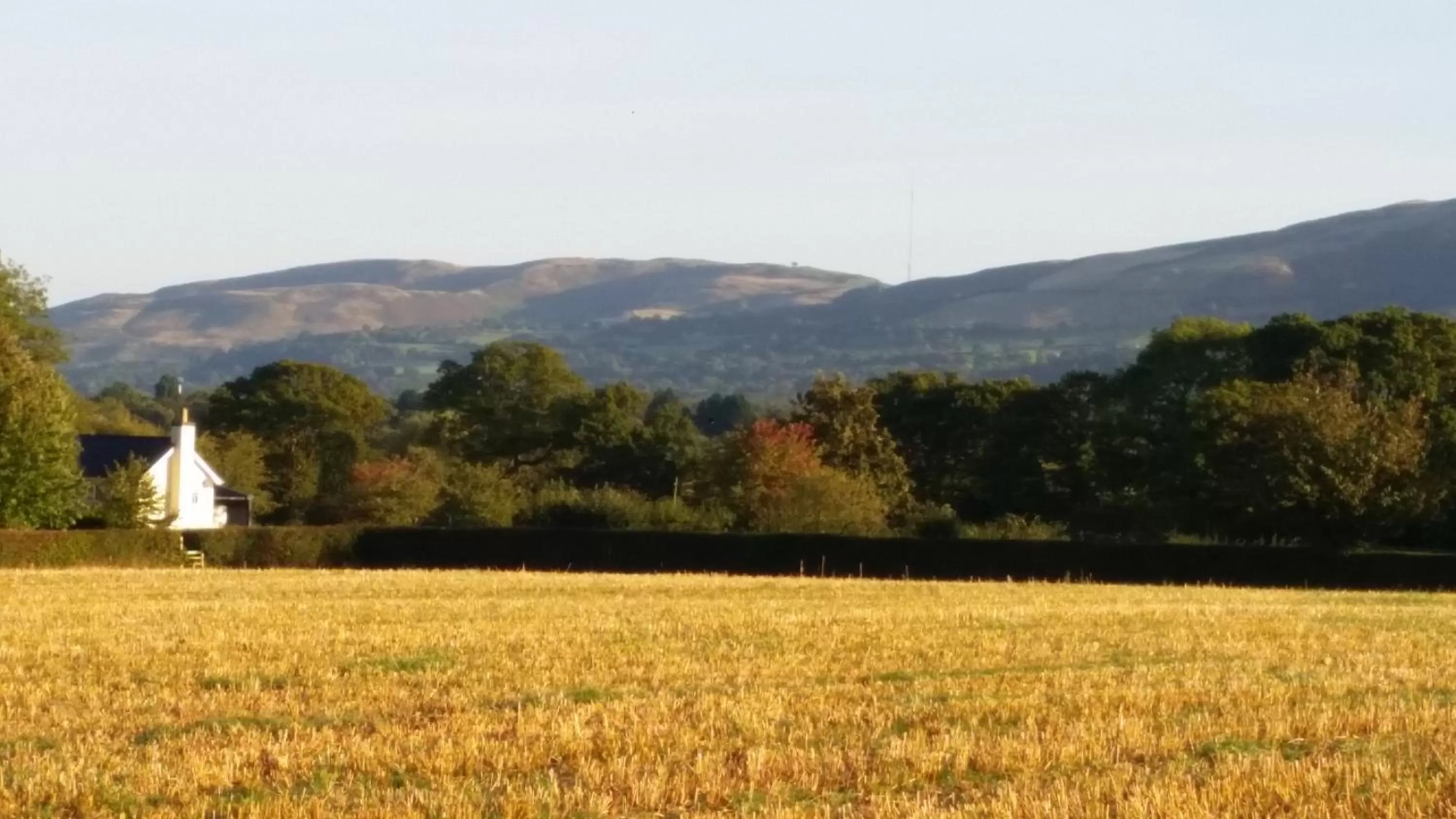 Ty Derw Country House B&B