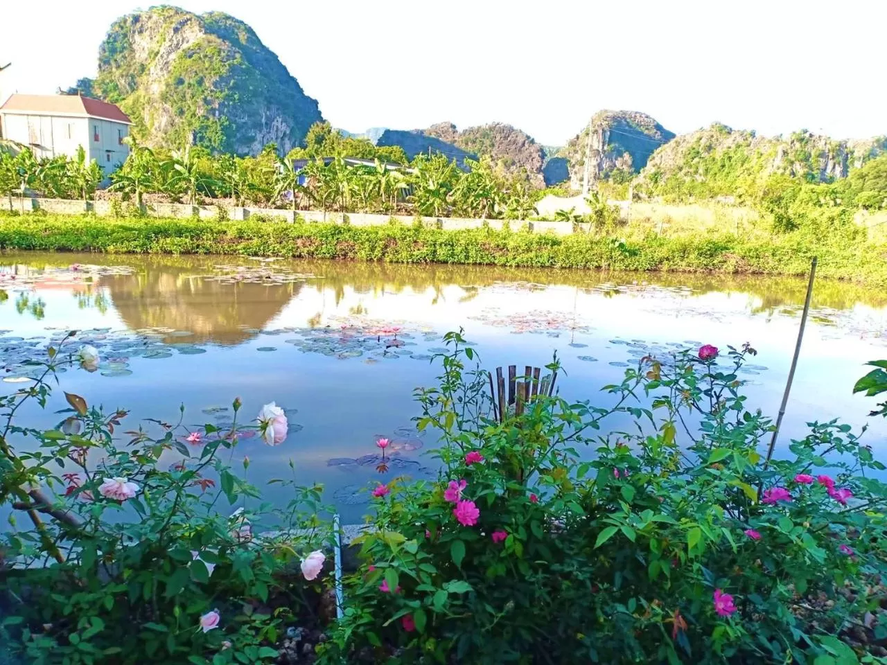 View (from property/room) in Nan House - Tam Coc