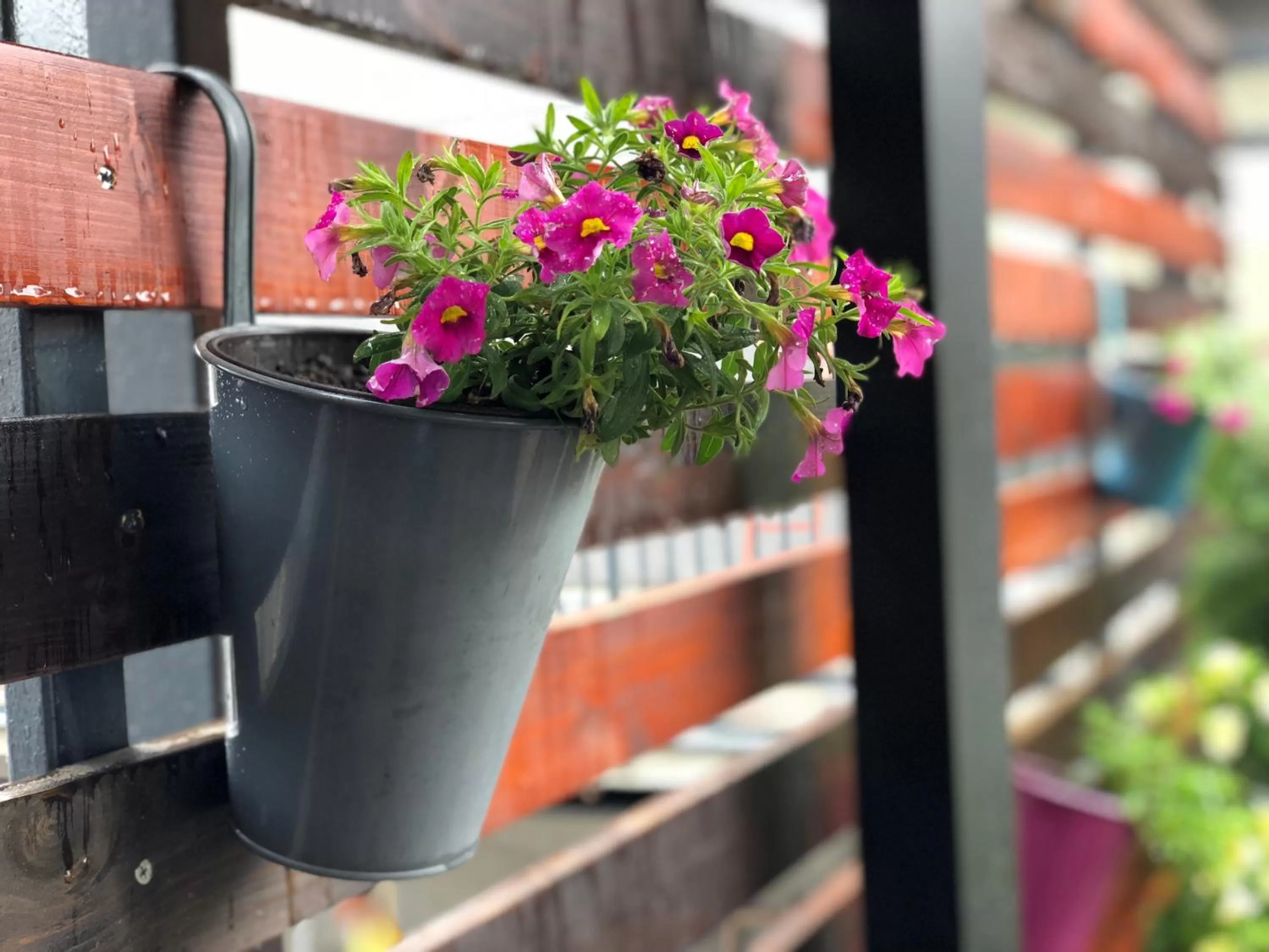 Balcony/Terrace, Drinks in IG Hotel