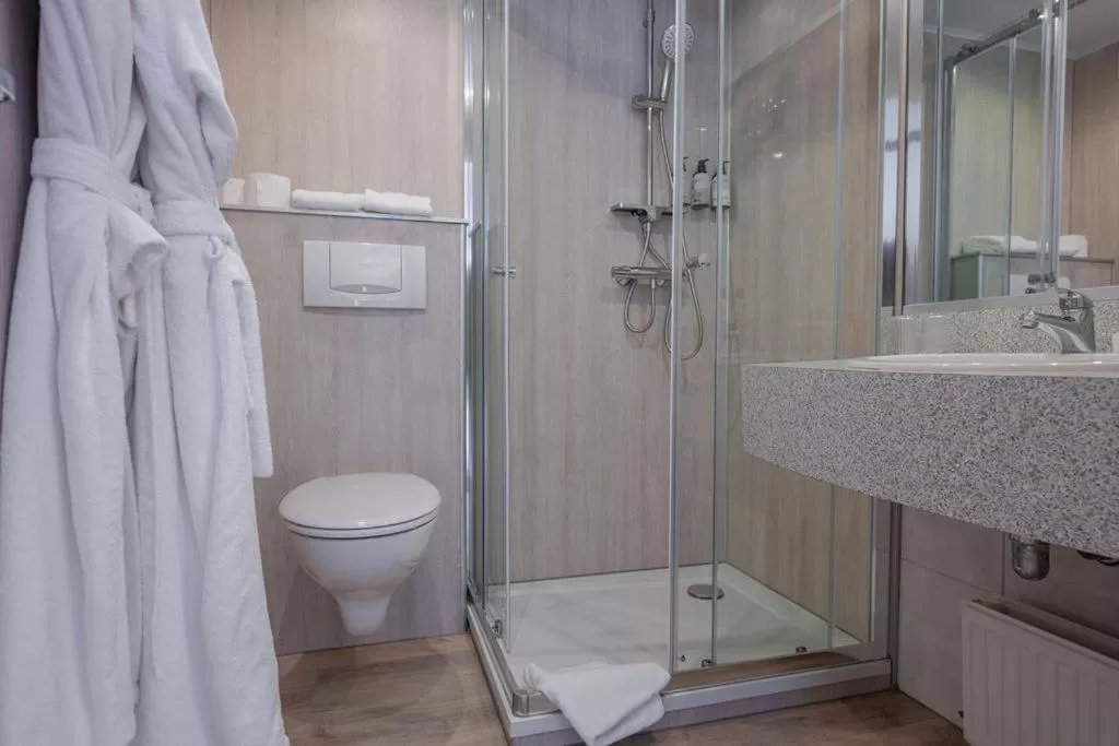 Bathroom in Boutique Hotel Slenaker Vallei - Buitengewoongenieten