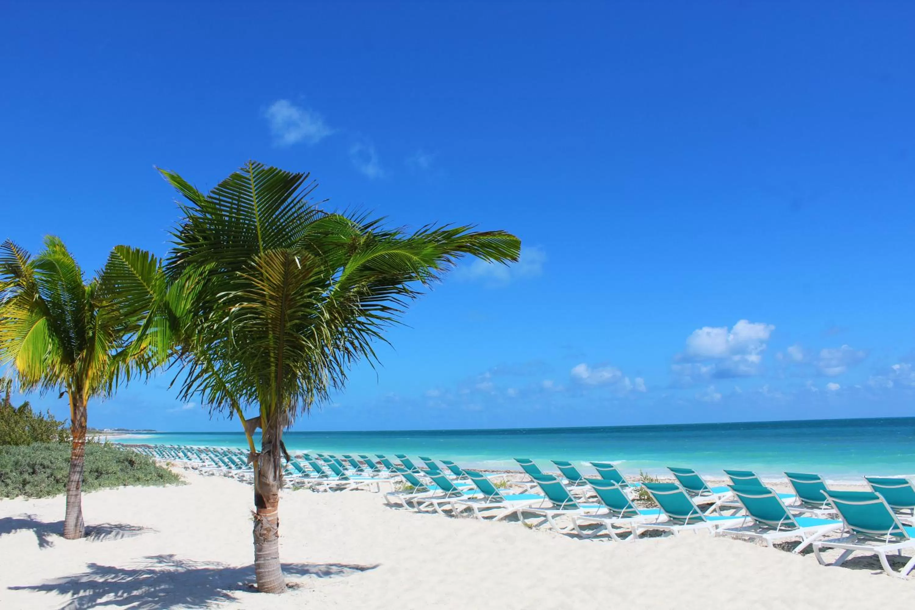 Day in Catalonia Grand Costa Mujeres All Suites & Spa - All Inclusive