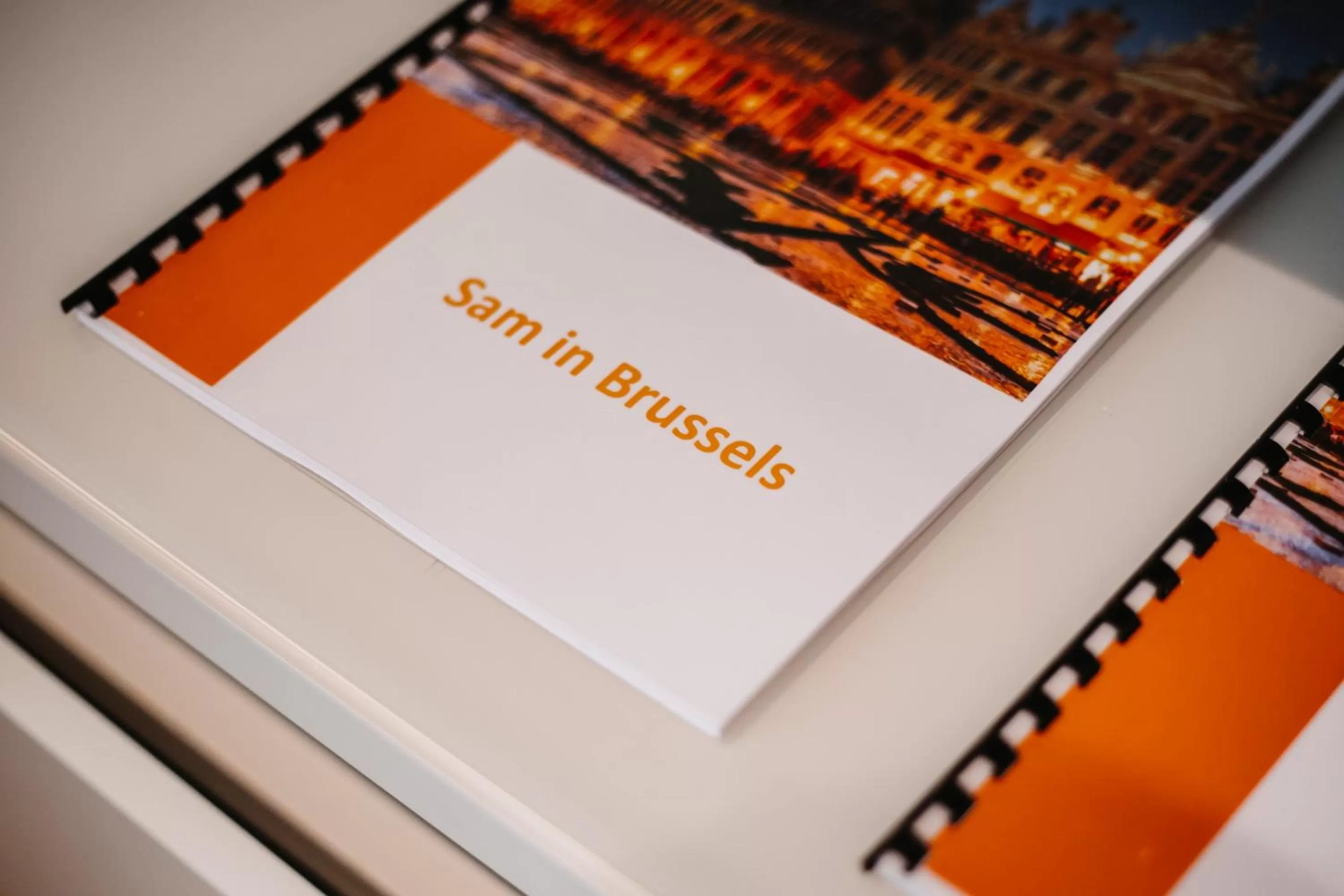 Library in Central and Cozy in Brussels