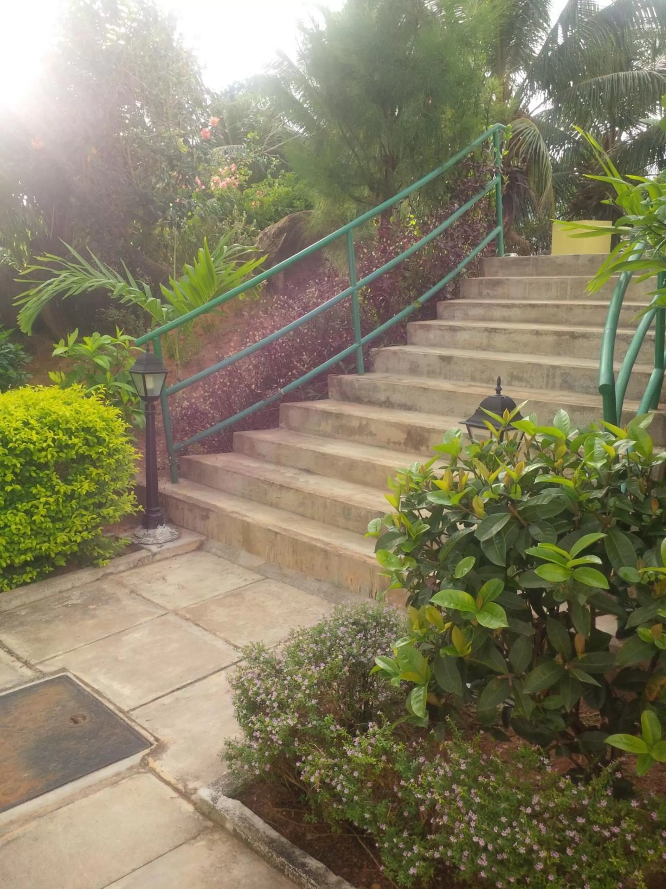 Day in Evergreen Apartments