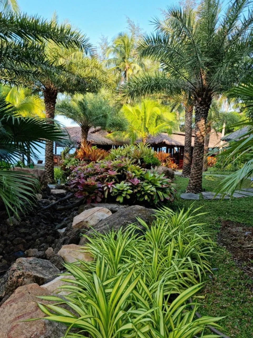 Garden in Coco Palm Beach Resort