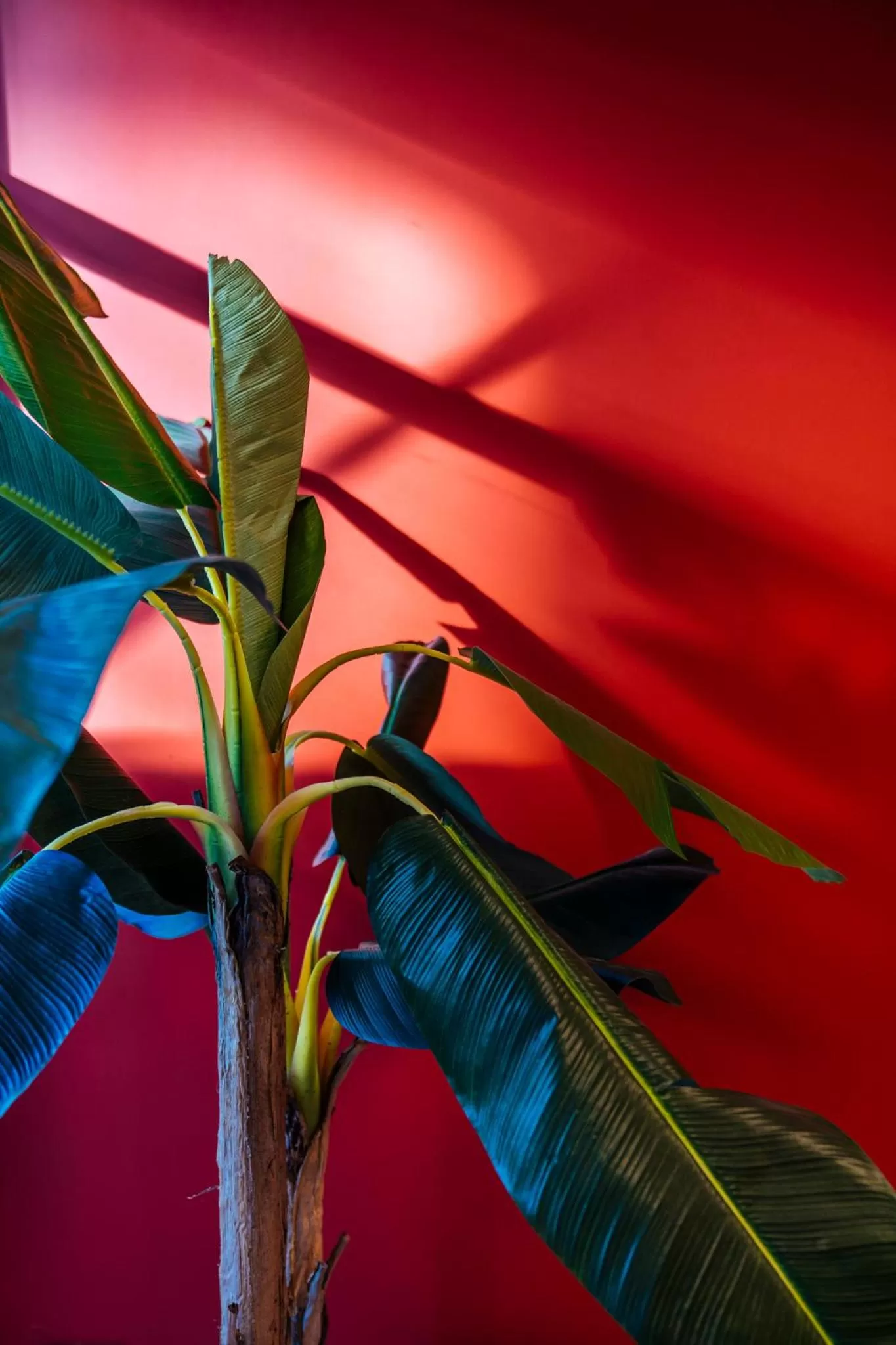 Lobby or reception in ibis Styles Antibes