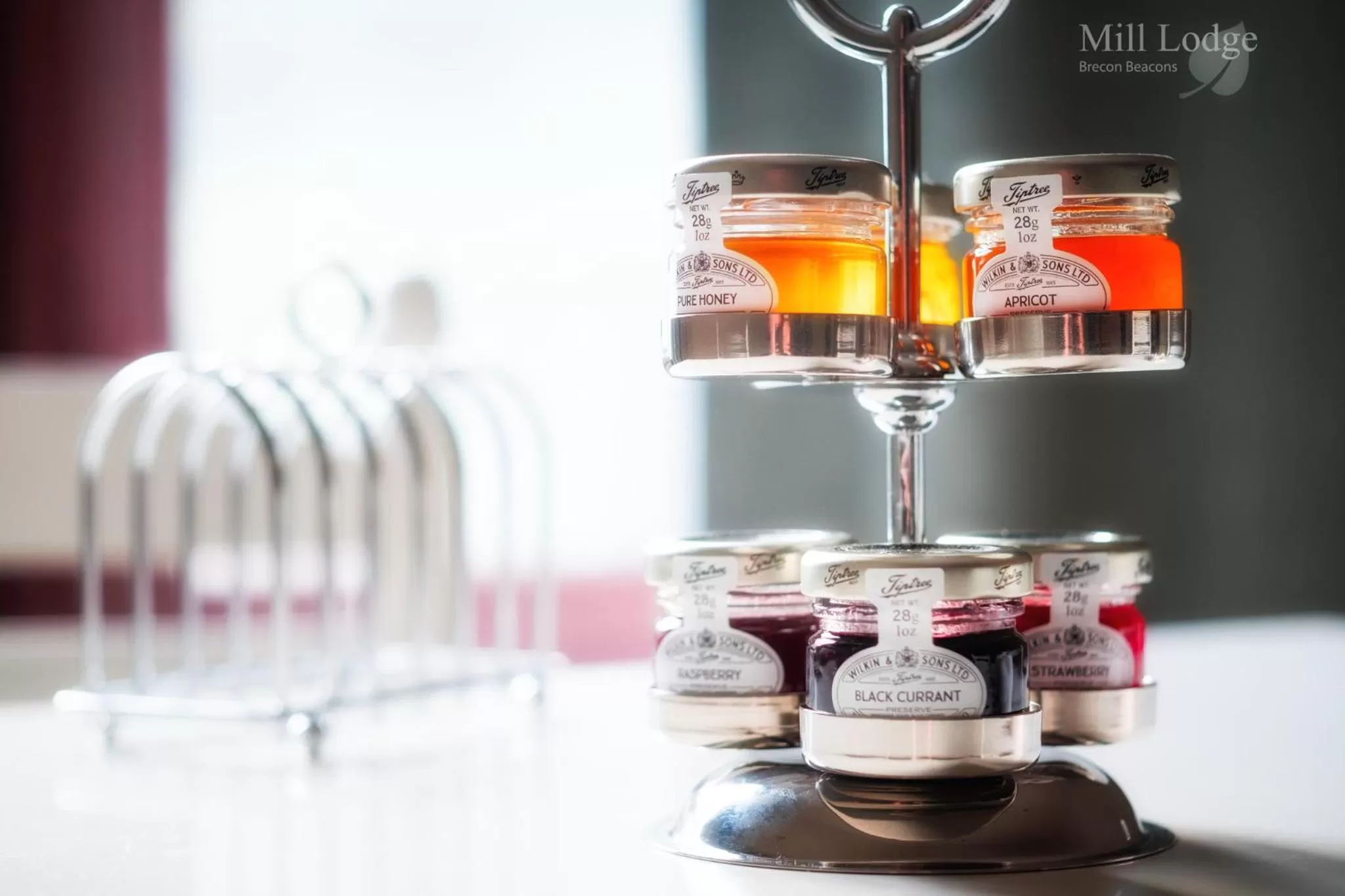 Food in Mill Lodge-Brecon Beacons