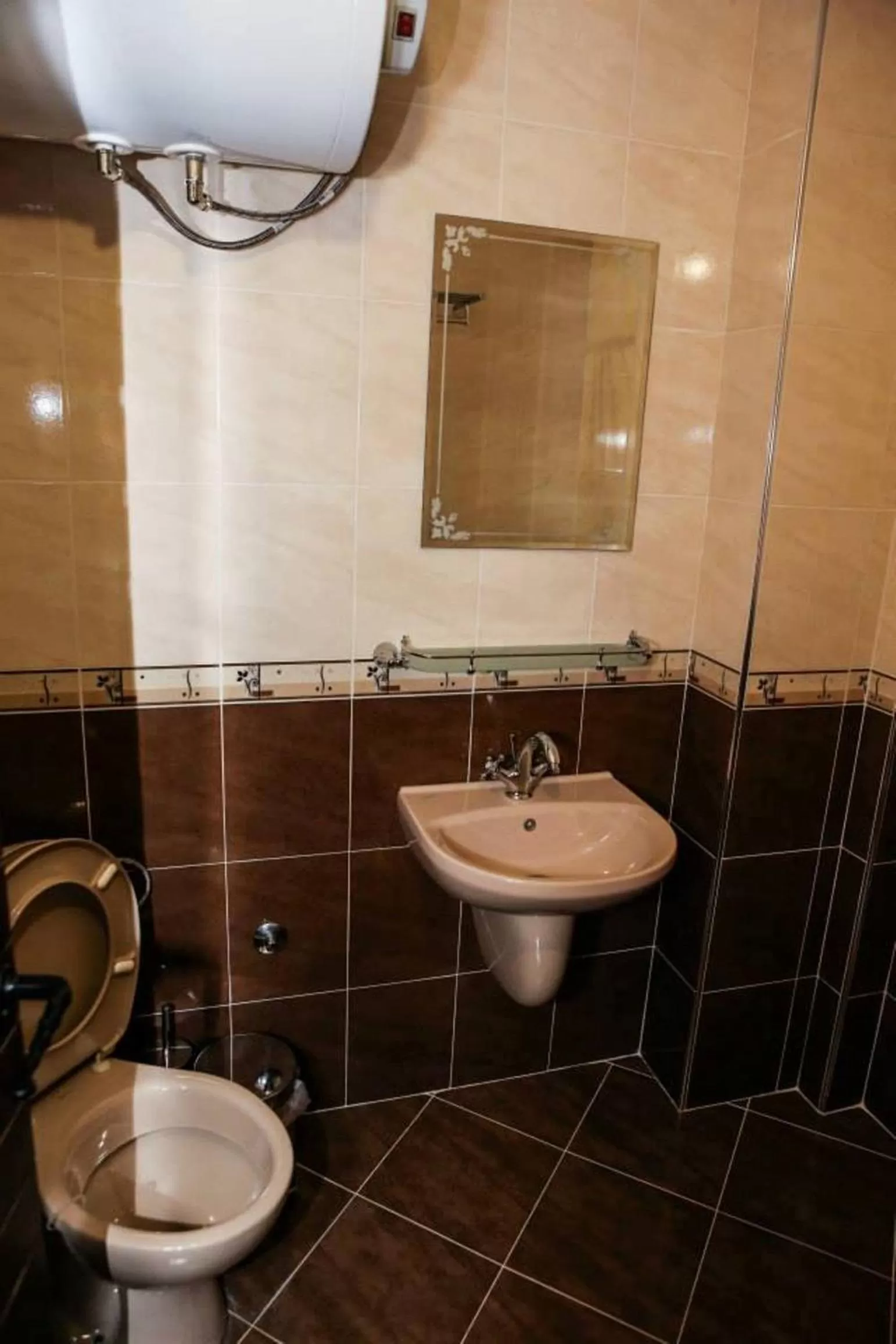 Bathroom in Delchovski Han