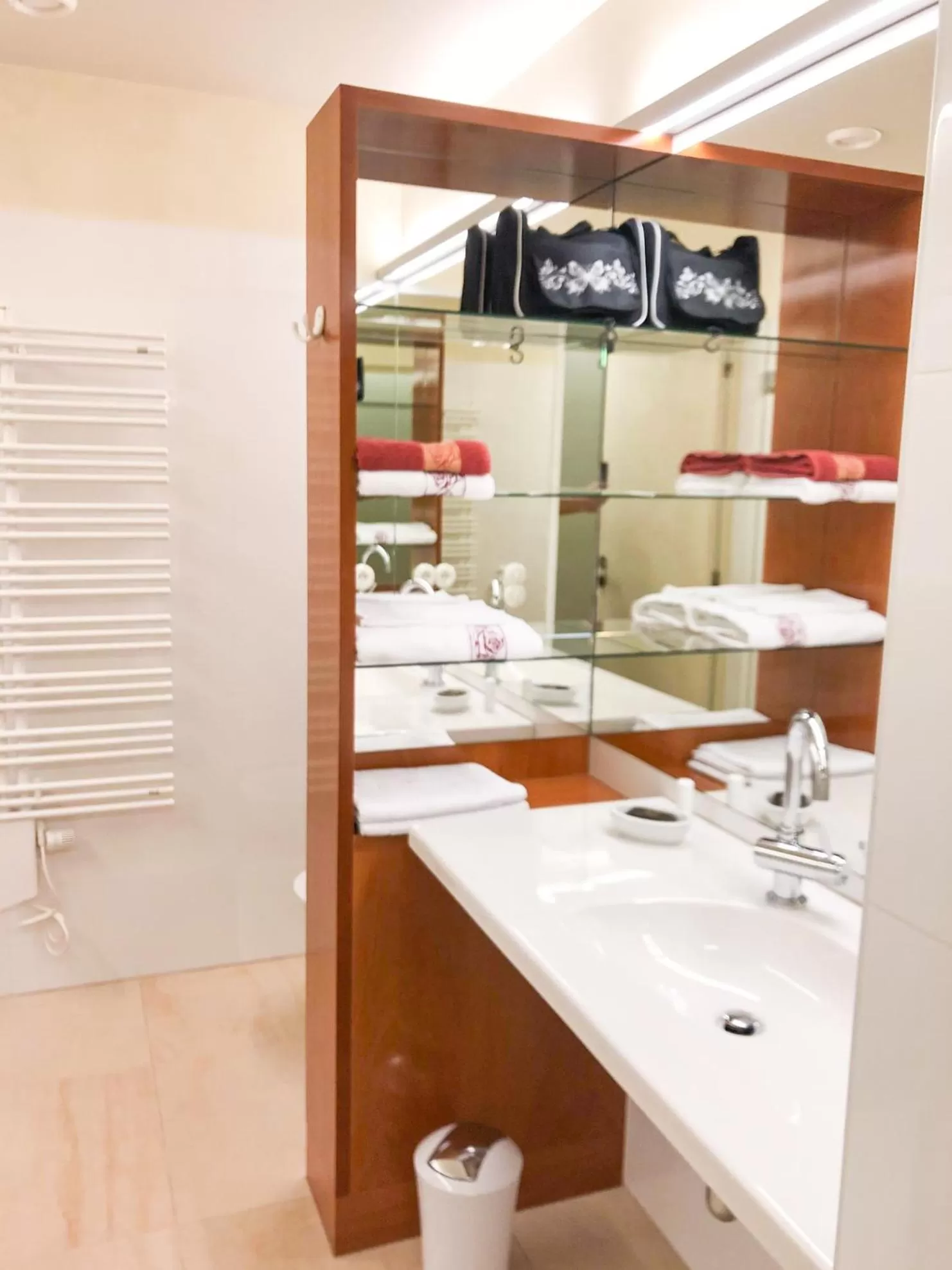 Shower, Bathroom in Die Schmiede