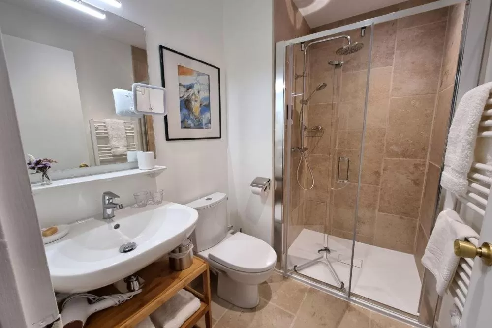 Bathroom in Le Rodin Bazas