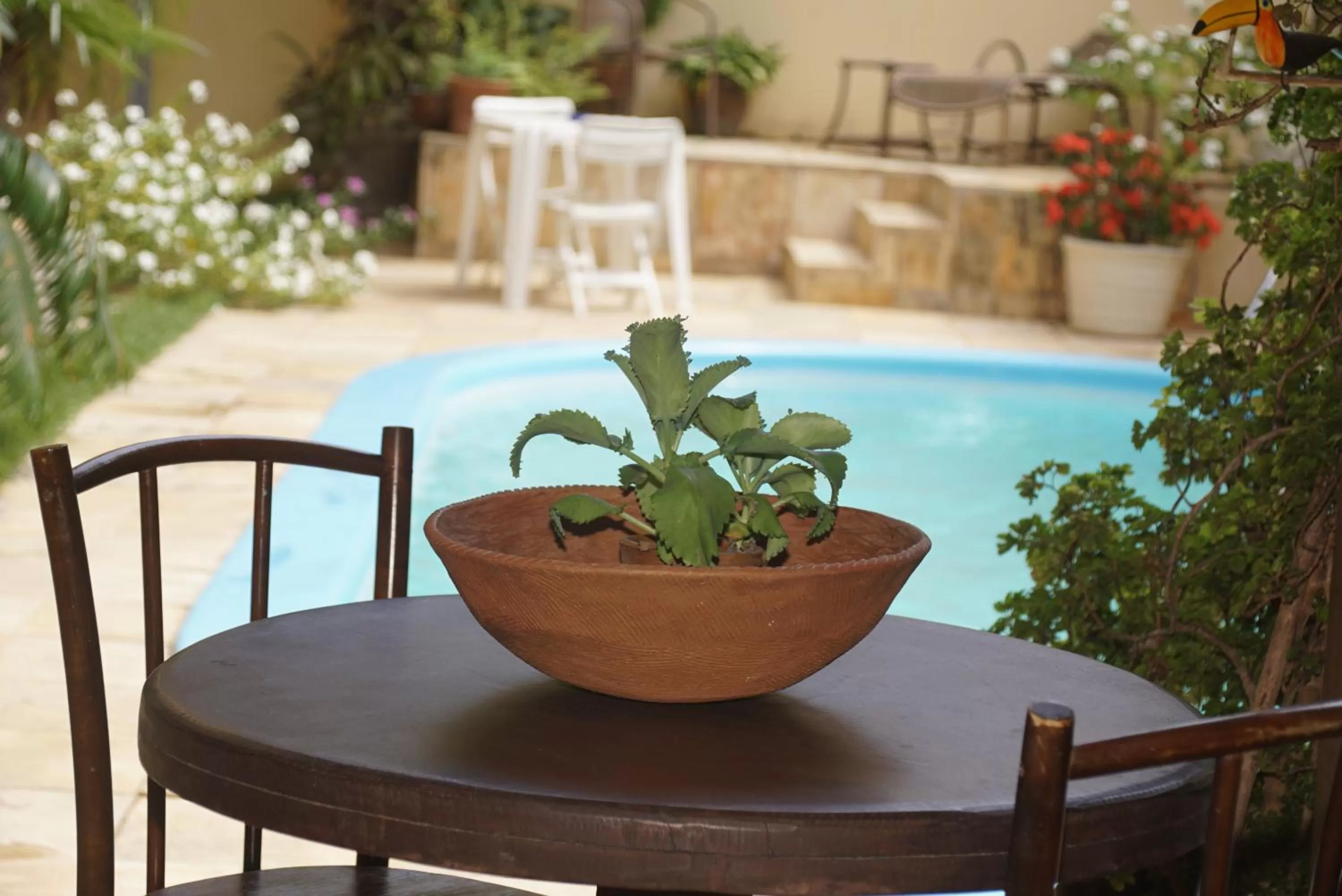 Pool view, Swimming Pool in Hospedaria Lua Raio de Sol