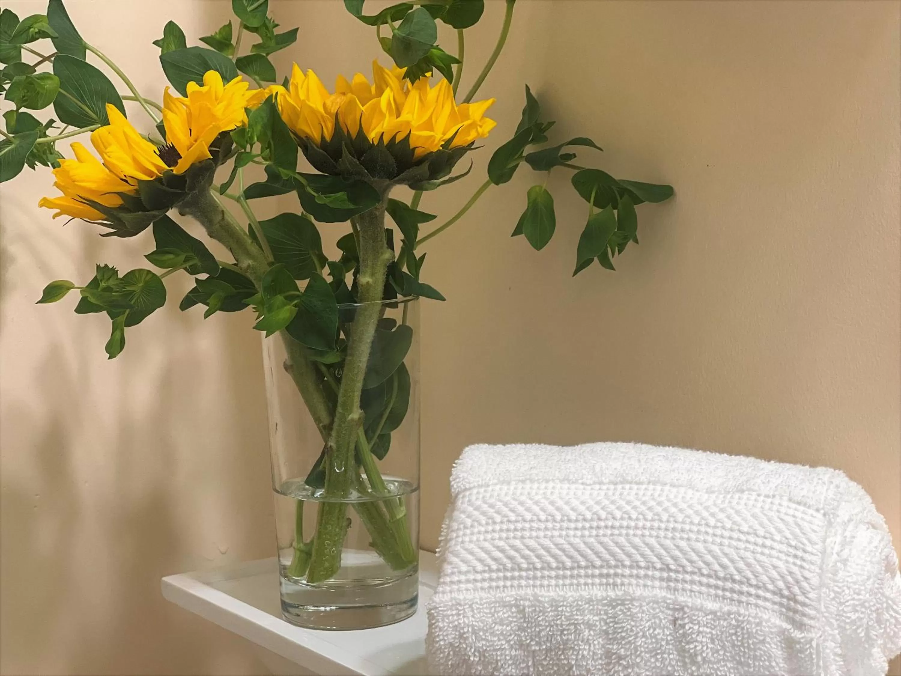 Bathroom in White Horse Lodge