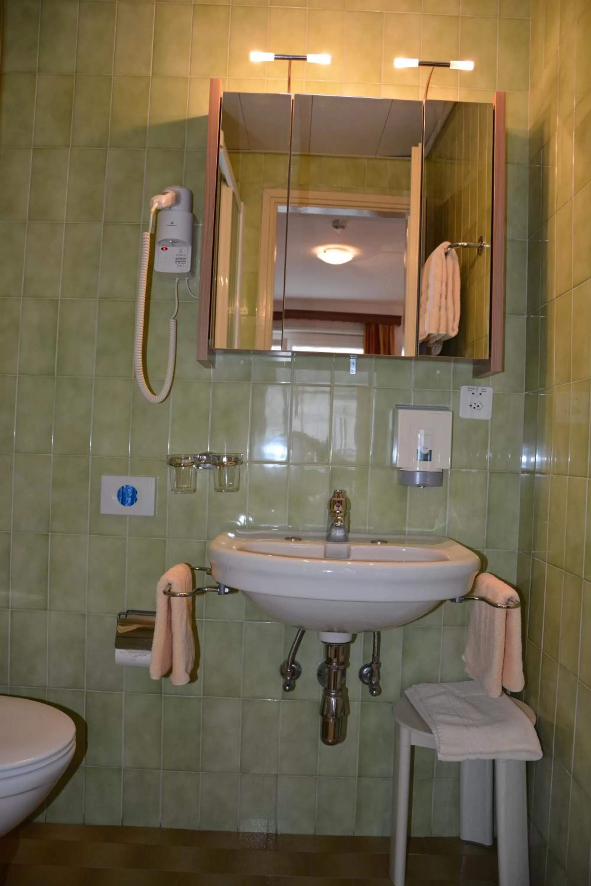 Bathroom in Hotel Dischma - FREE BUS AND TRAIN TICKET