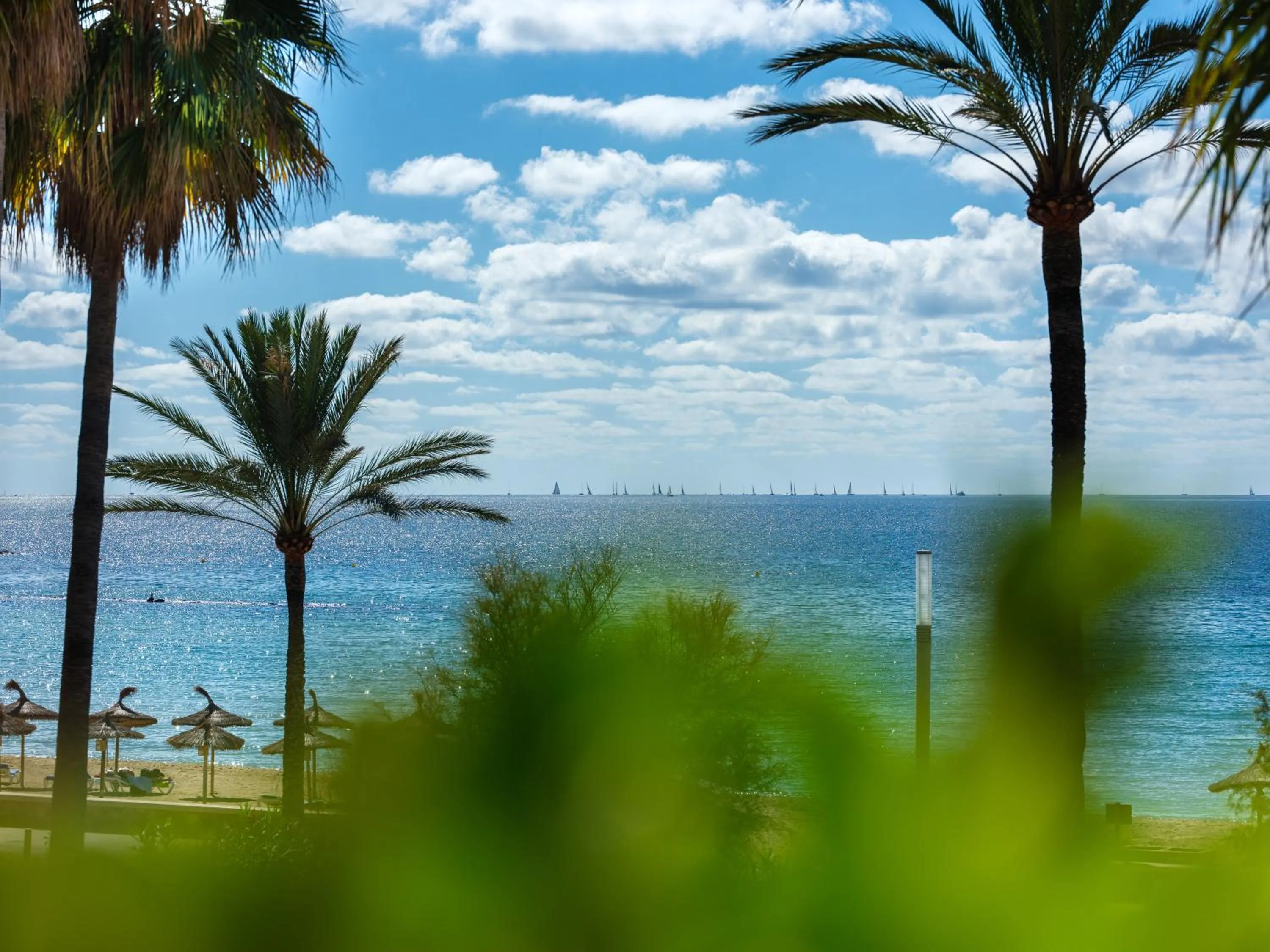 Sea view in Hotel Ciutat Jardi