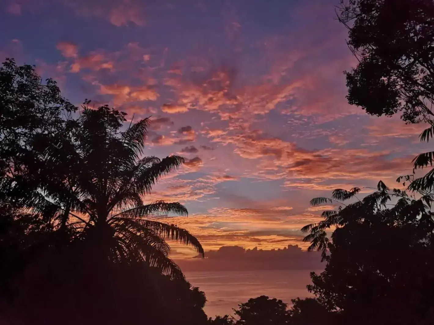 Deluxe Double Room with Side Sea View in Casa G - Manuel Antonio oceanview hotel Deluxe Double Room with Side Sea View in Casa G - Manuel Antonio oceanview hotel