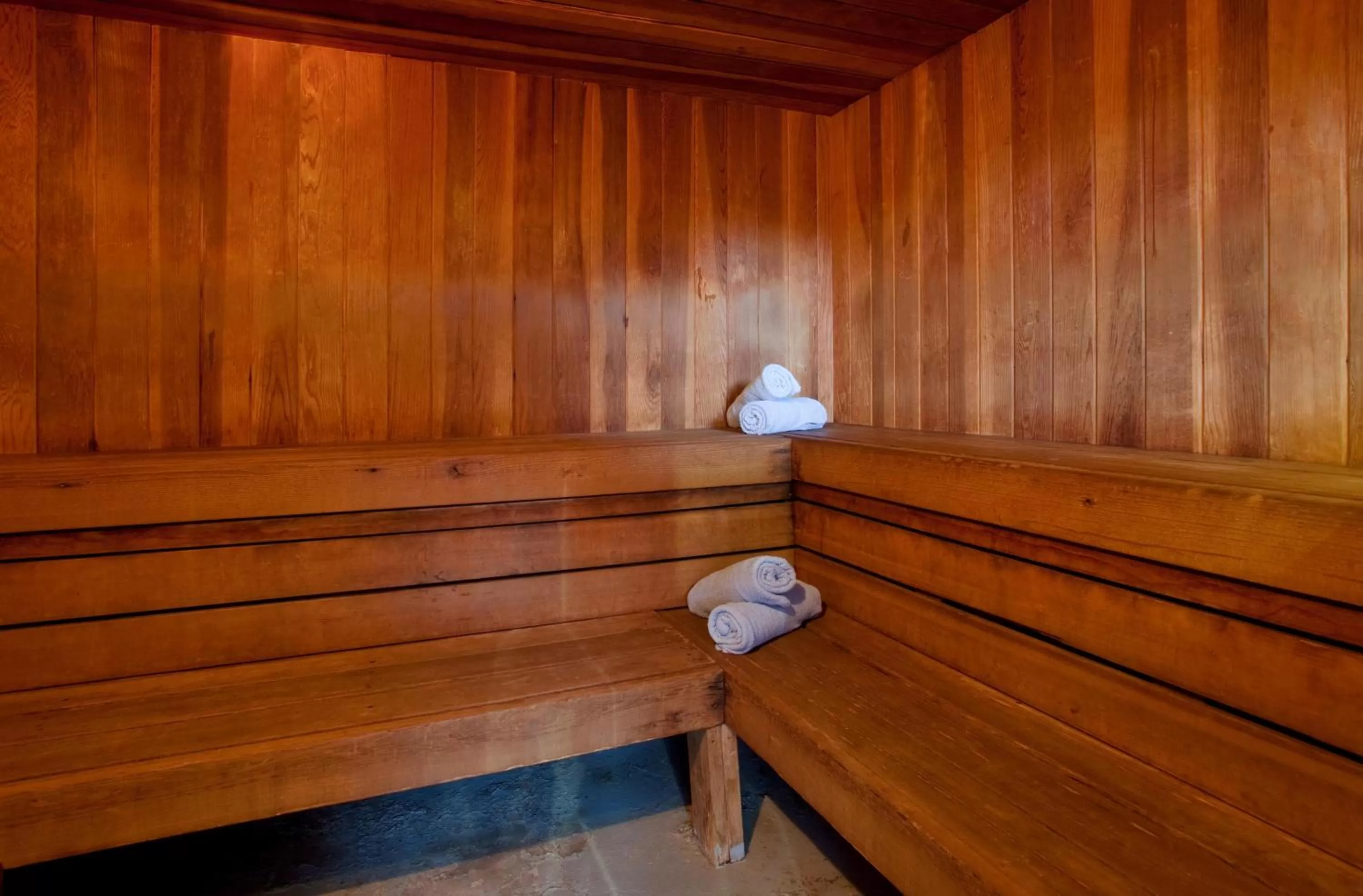 Sauna in Delamar Traverse City