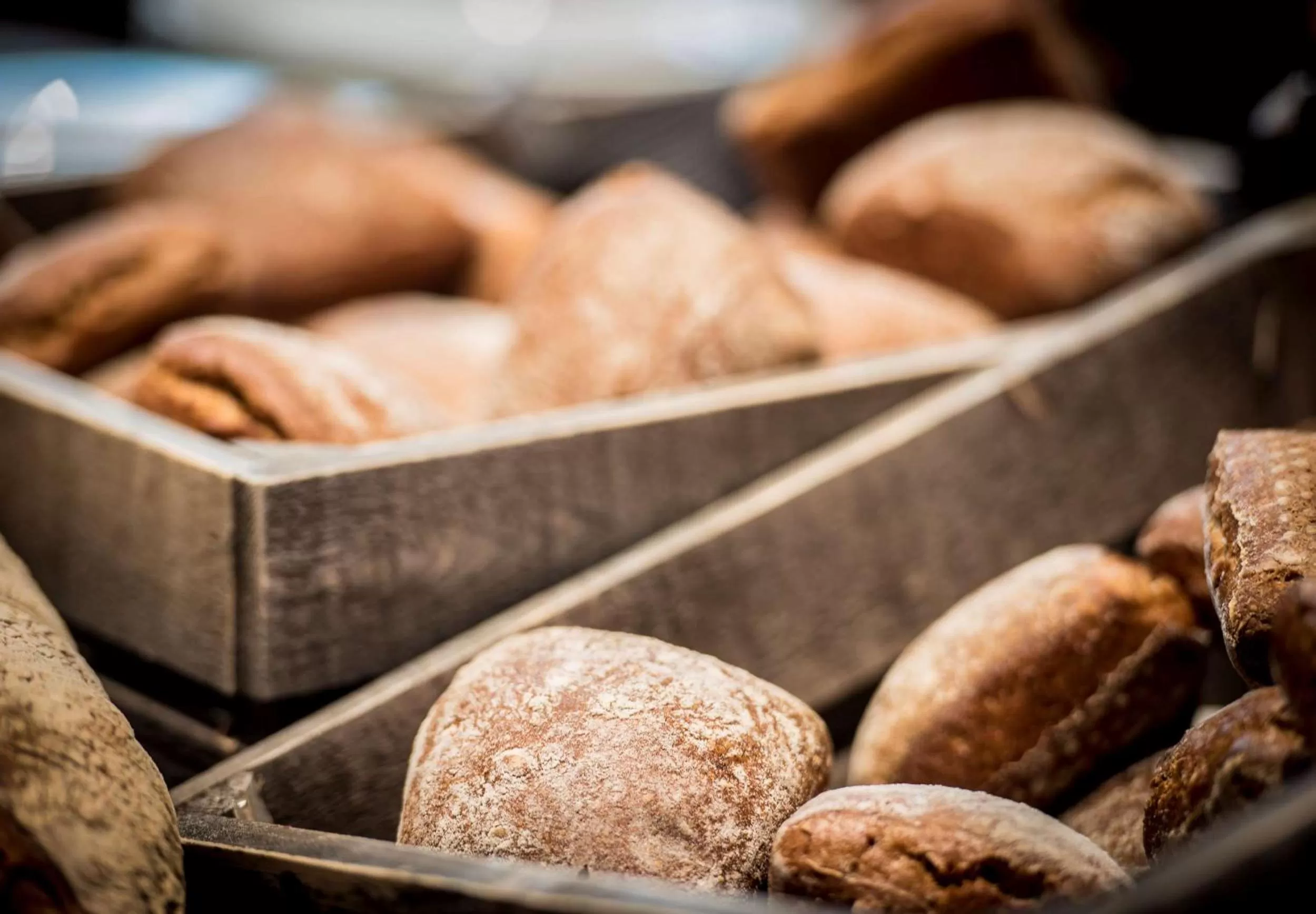 Restaurant/places to eat in Scandic Gällivare