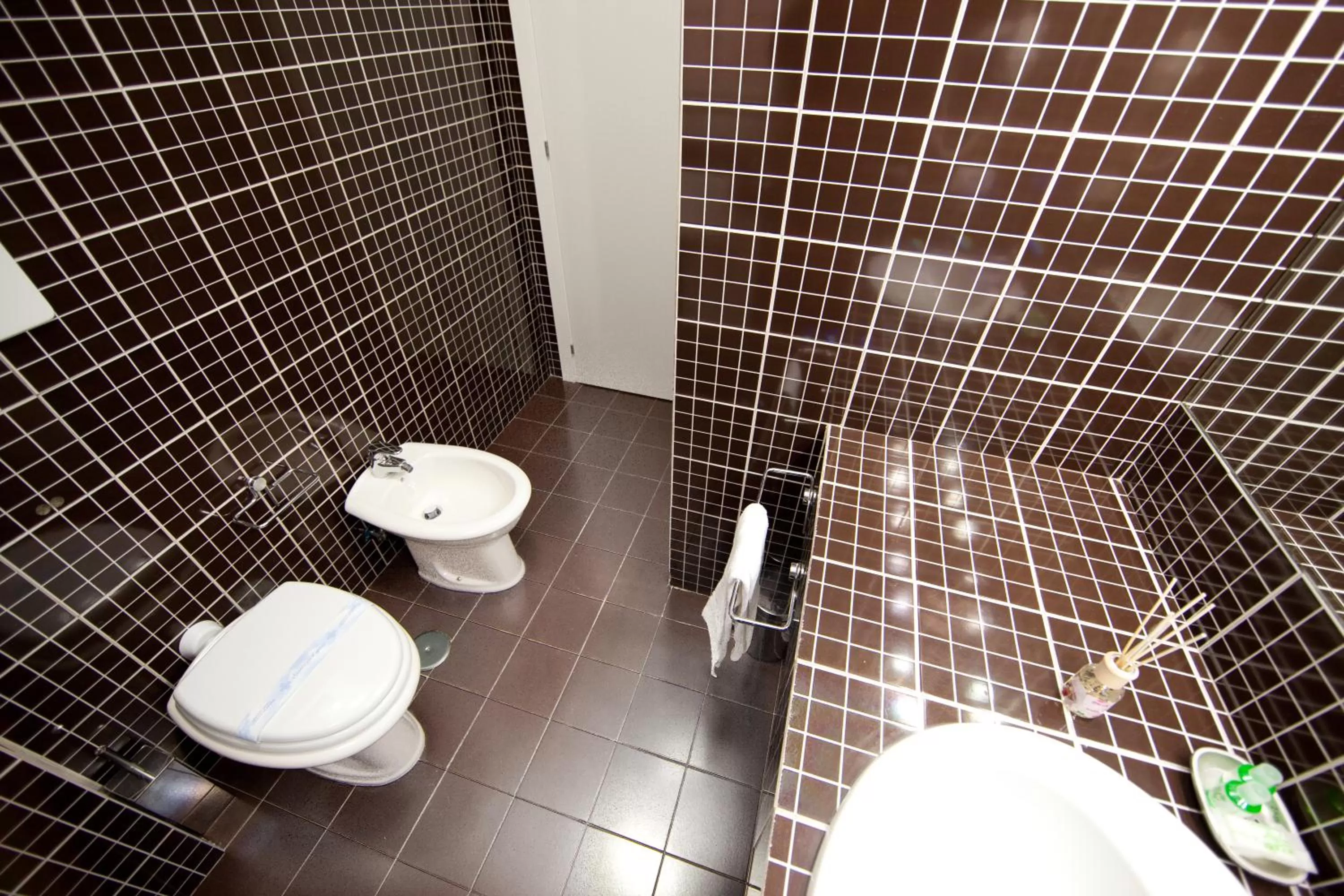 Bathroom in Star of Rome