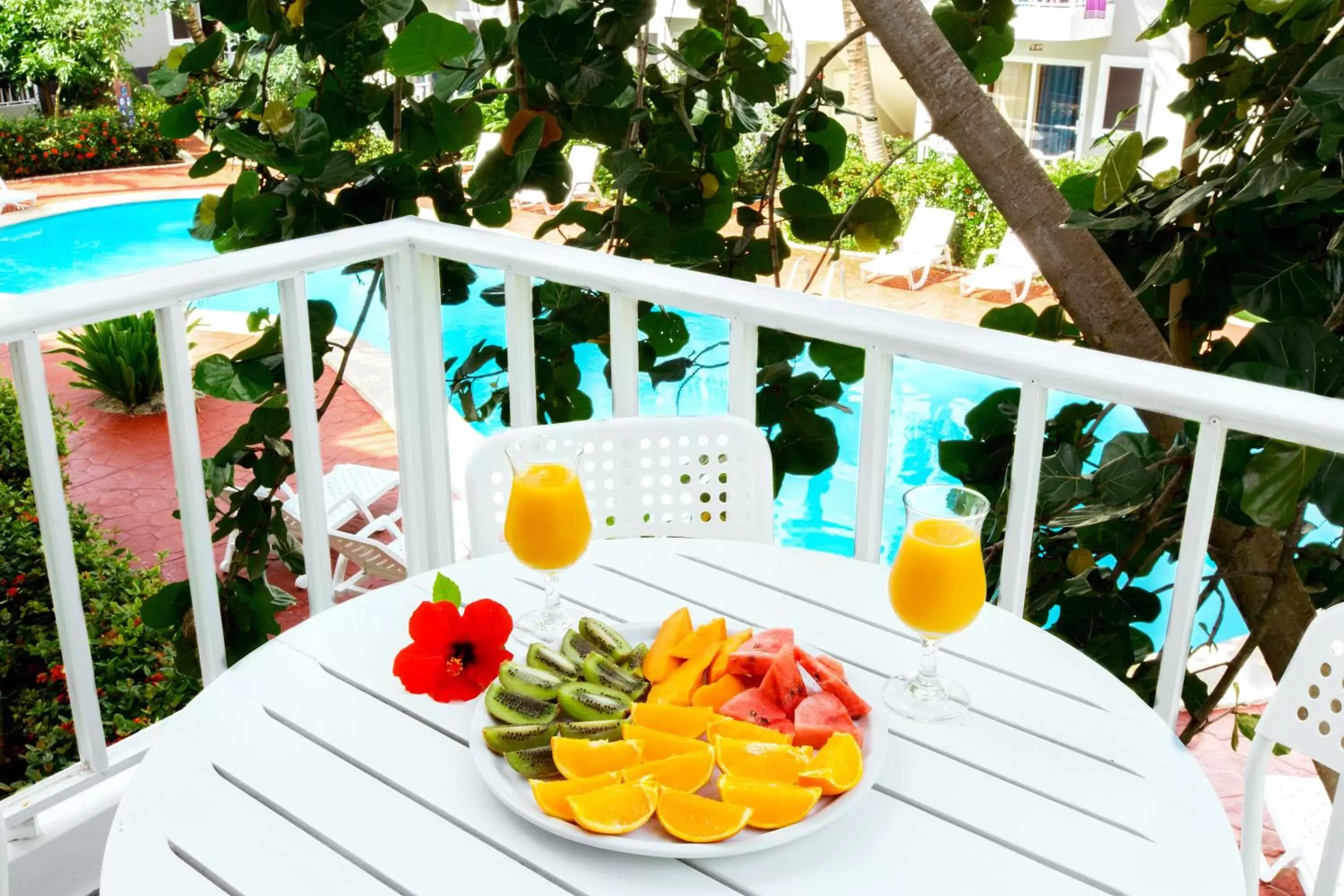 Studio with Balcony in TROPICANA SUITES DELUXE BEACH CLUB and POOL - playa LOS CORALES Studio with Balcony in TROPICANA SUITES DELUXE BEACH CLUB and POOL - playa LOS CORALES