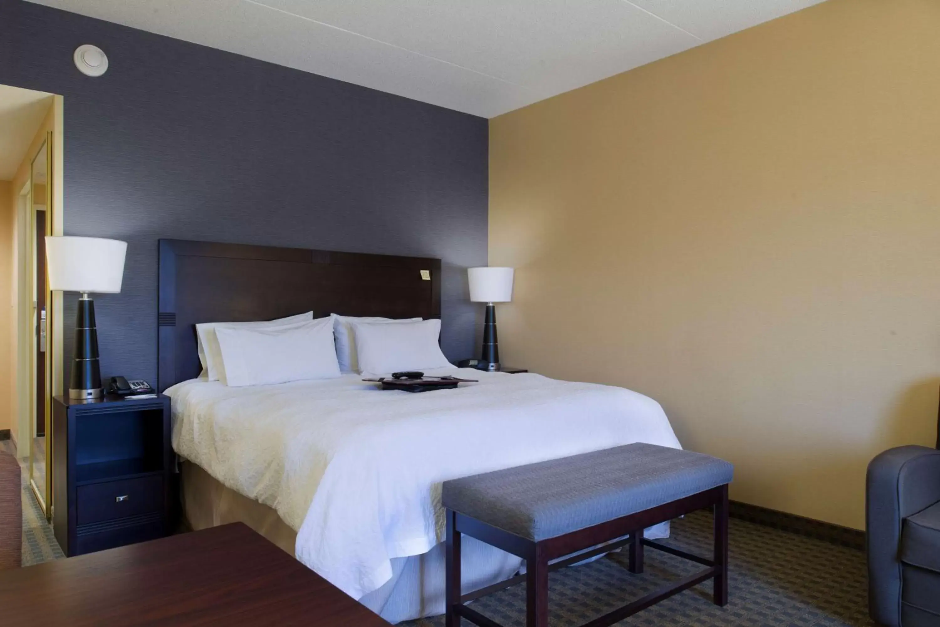 King Room with Sofa Bed - Hearing Accessible/Non-Smoking in Hampton Inn & Suites Vineland King Room with Sofa Bed - Hearing Accessible/Non-Smoking in Hampton Inn & Suites Vineland