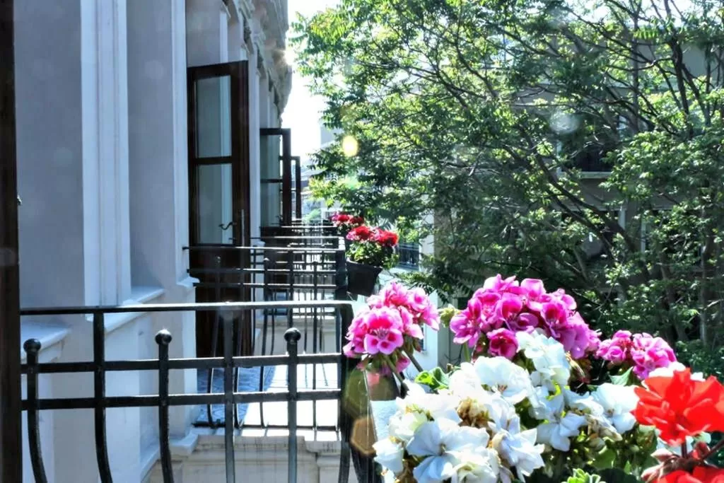 Spring in Hotel Troya Balat